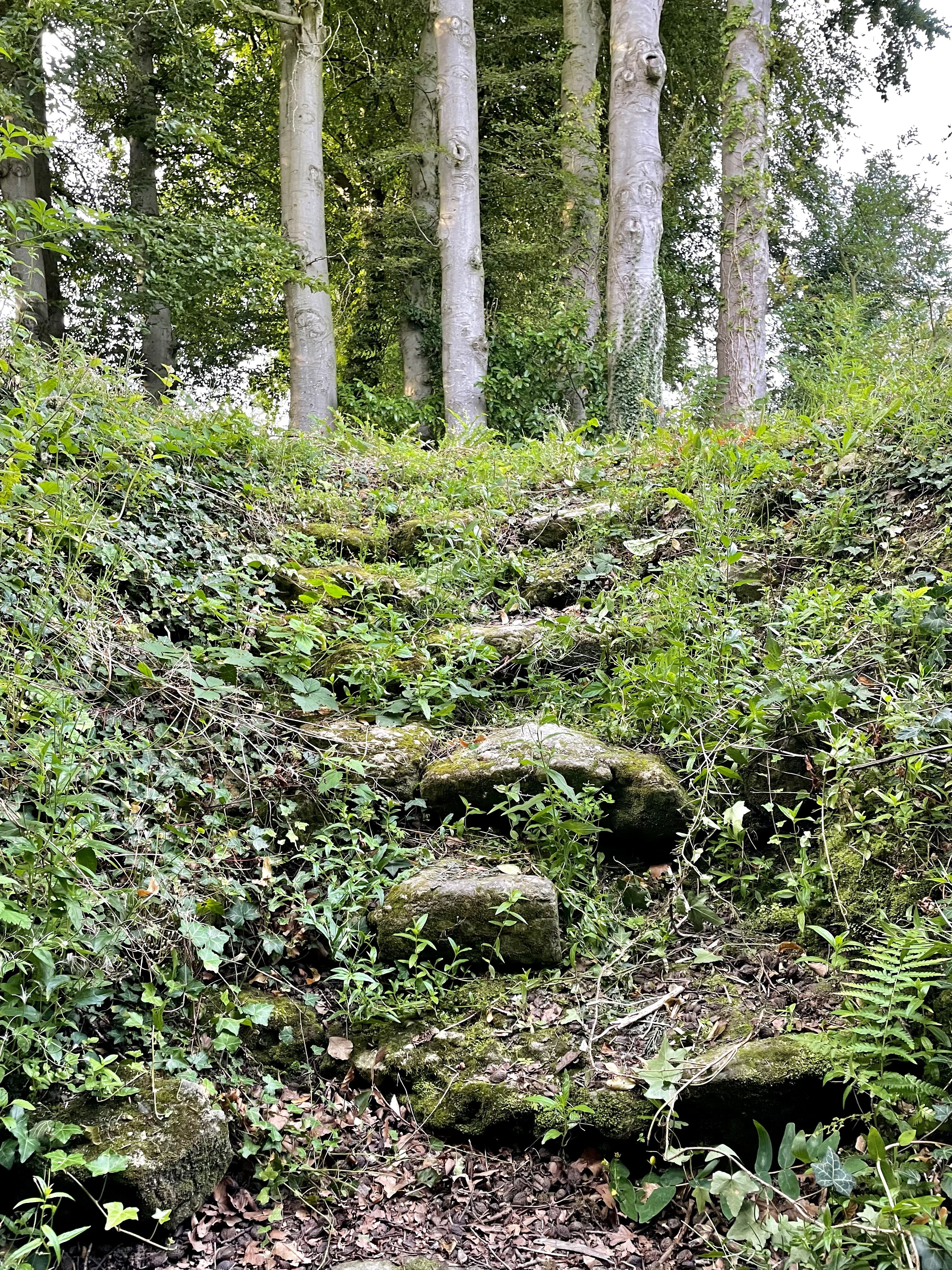 Casa nella natura a Bénarville