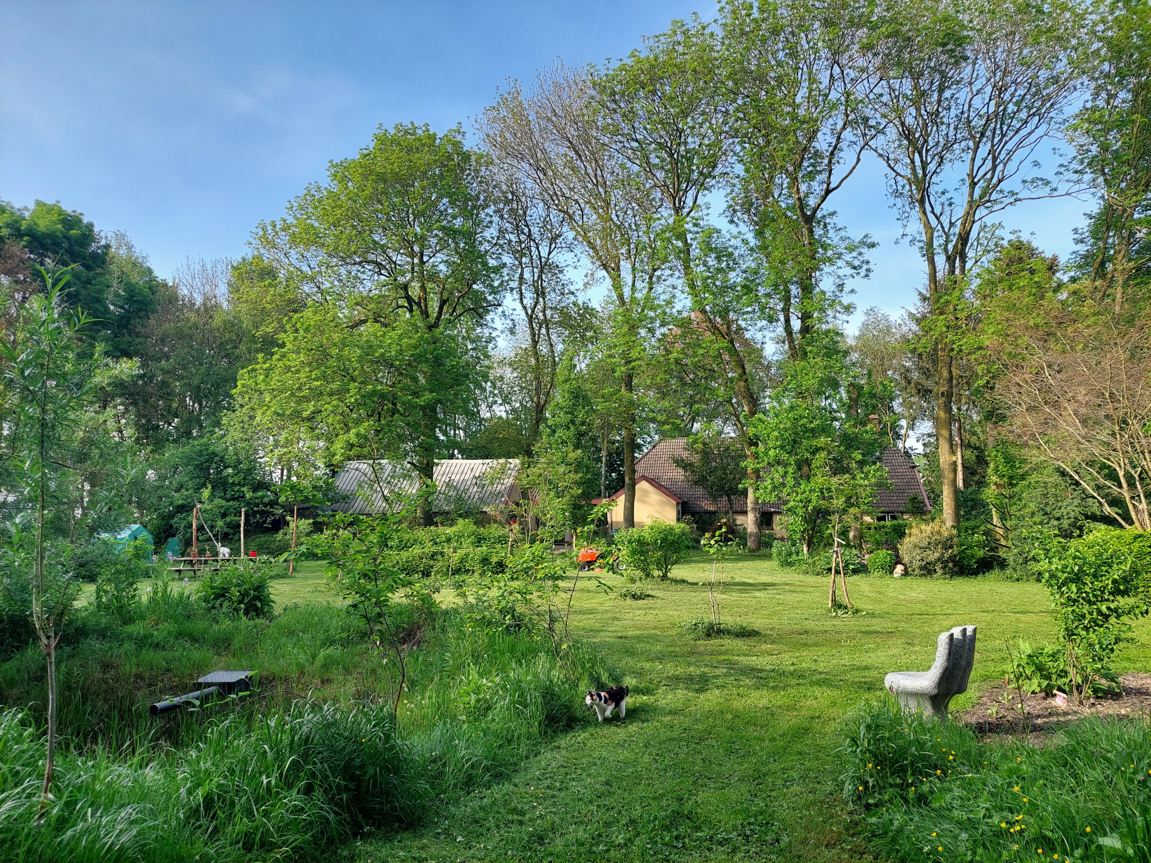 - image: 11