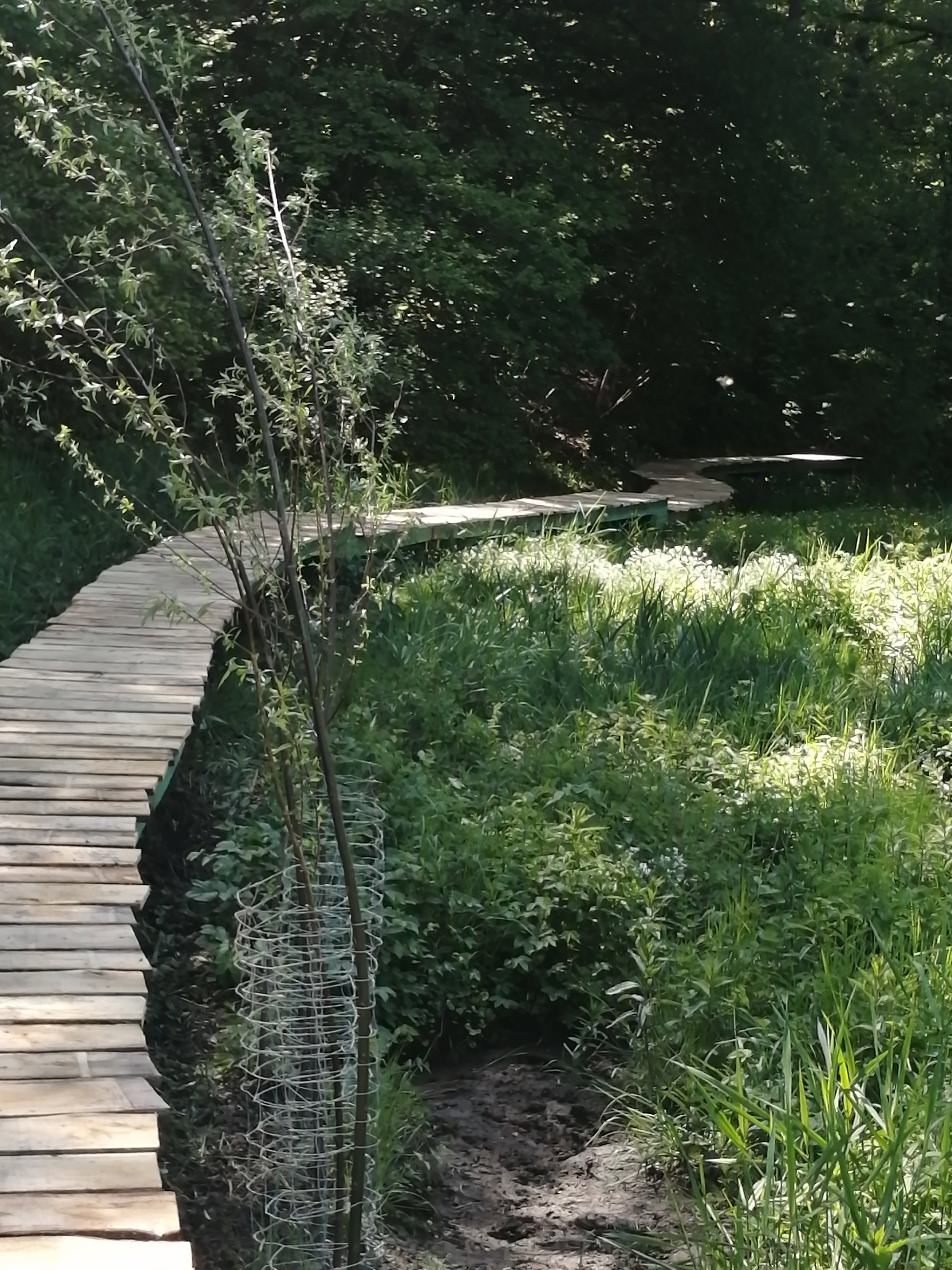 Naturhäuschen in Les Hayons