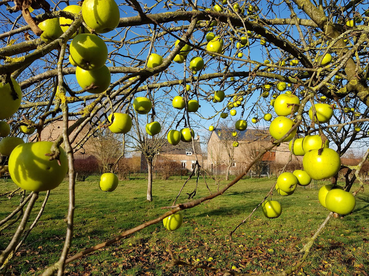 Natuurhuisje in Aulnoyes-Aymeries