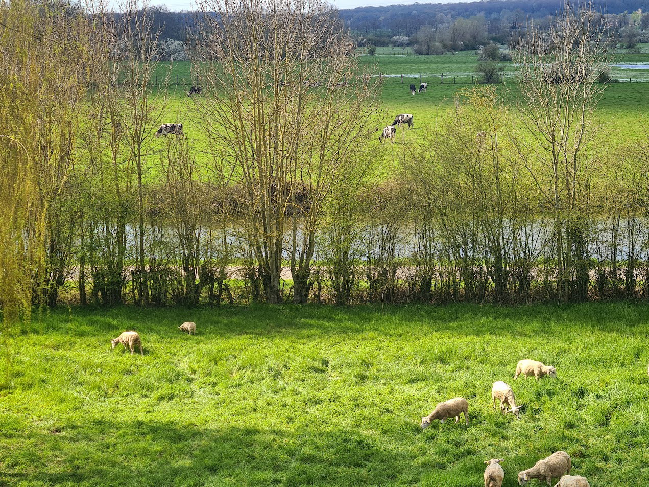 Natuurhuisje in Aulnoyes-Aymeries