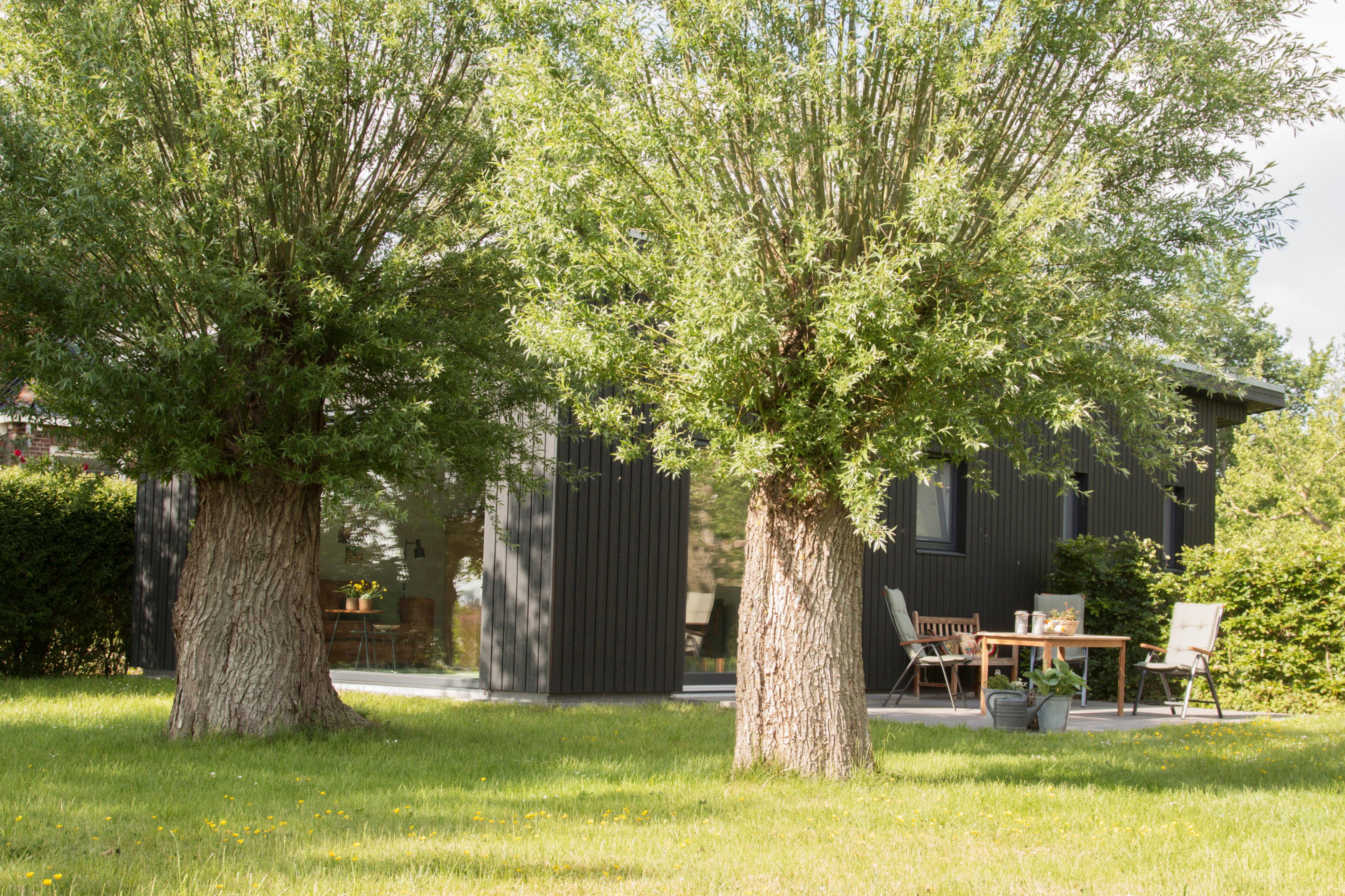 Casa nella natura a Akkrum