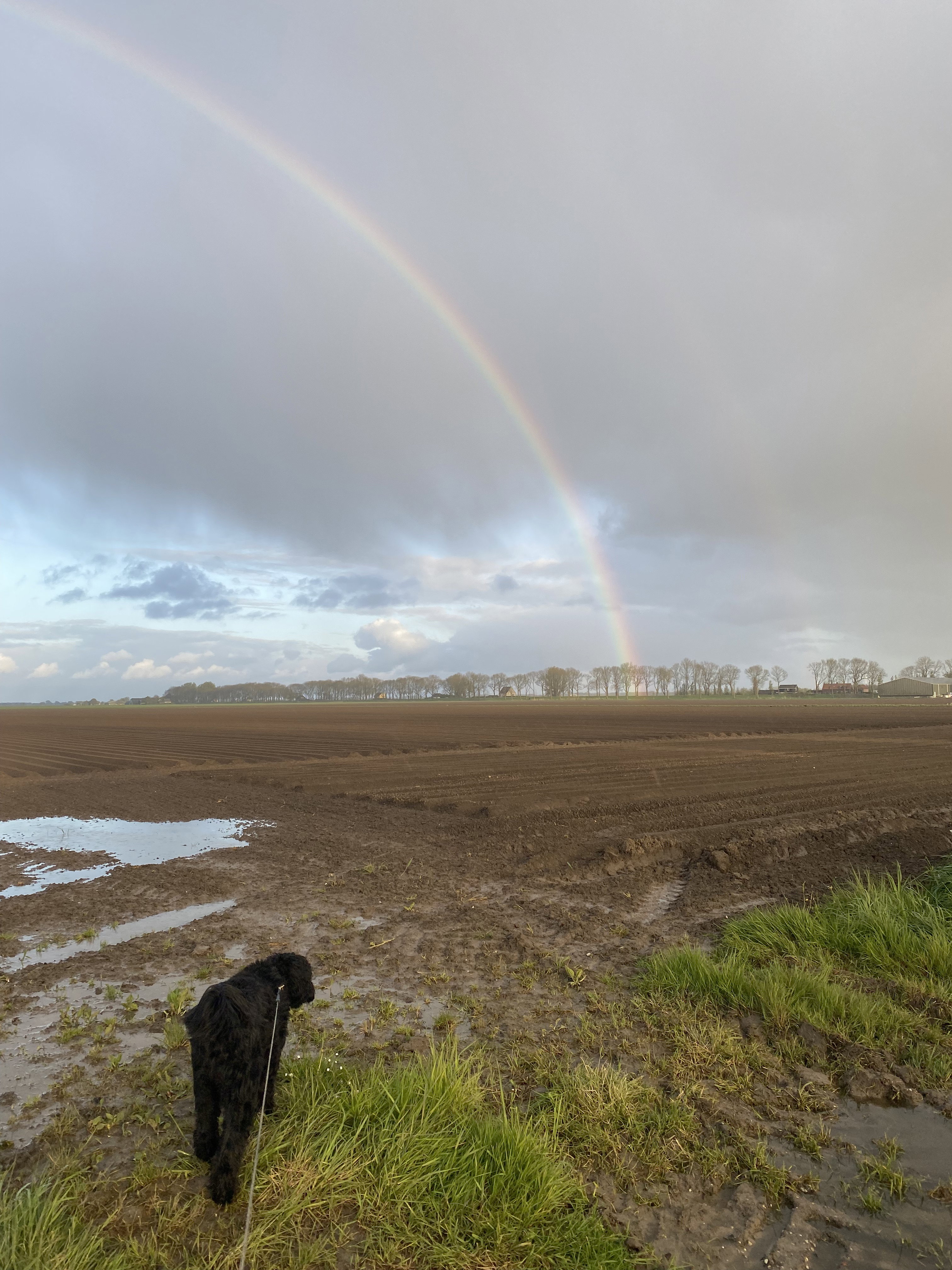 Naturhäuschen in Klaaswaal