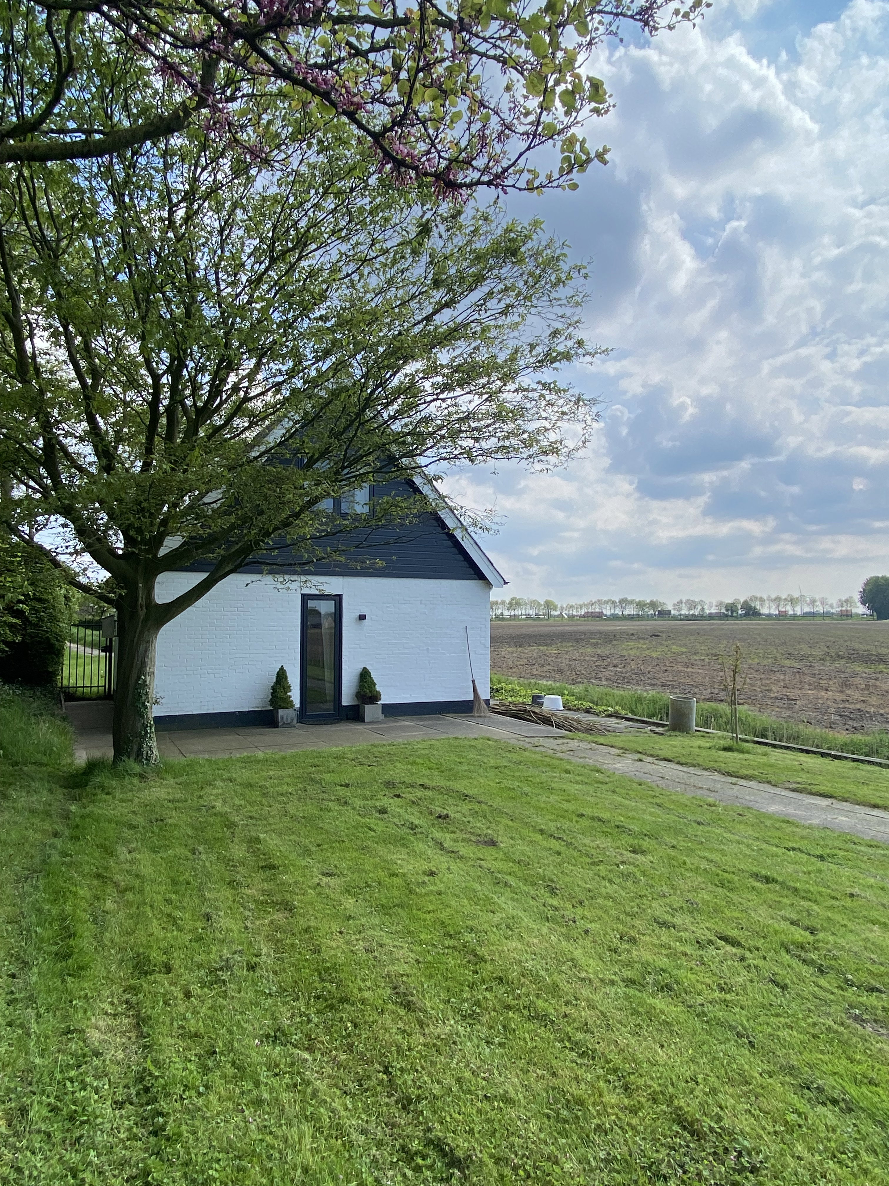 - image: 26