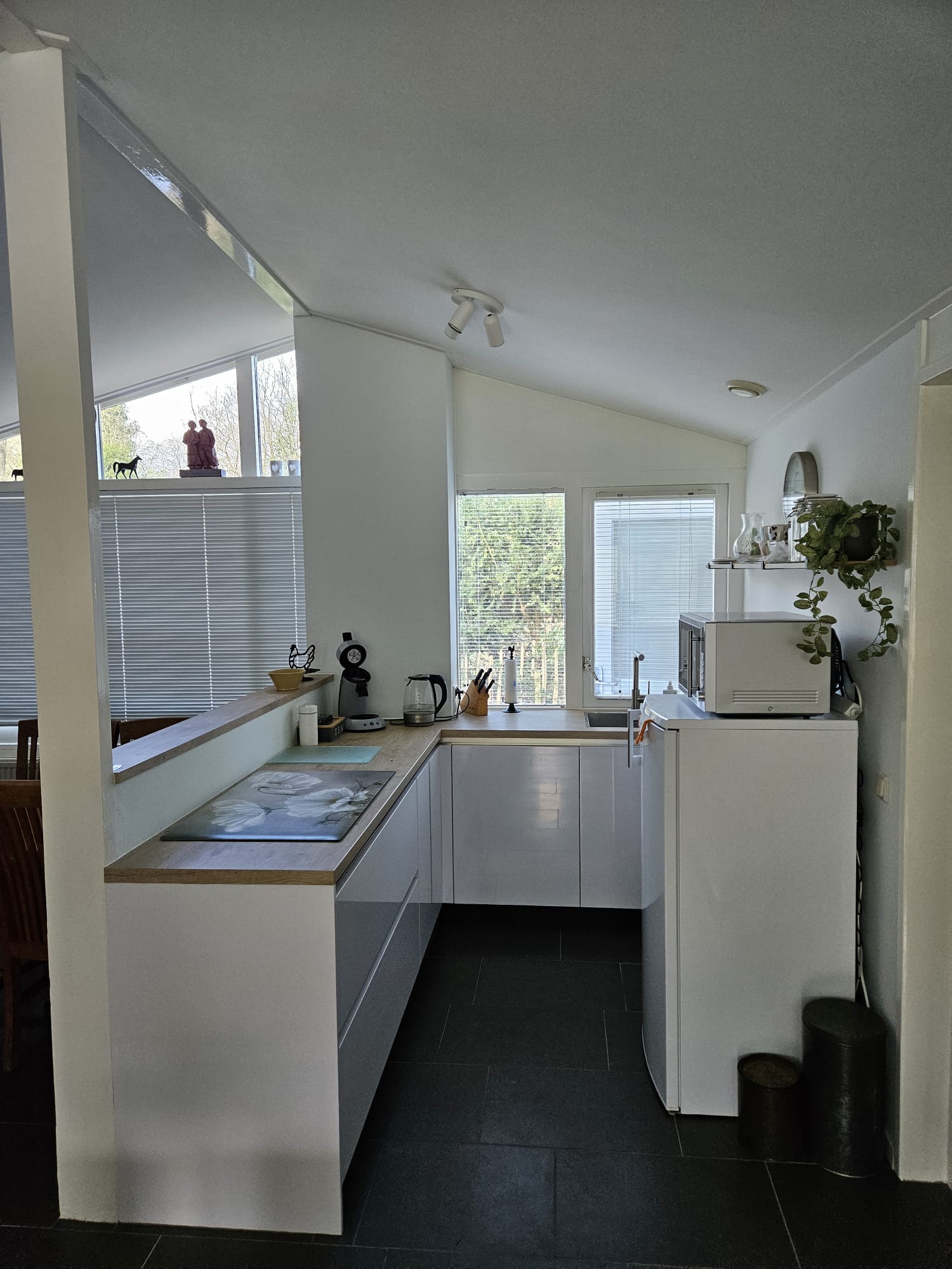 Maison nature à Appelscha