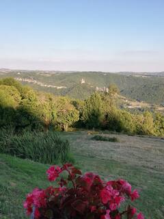 - image: 11