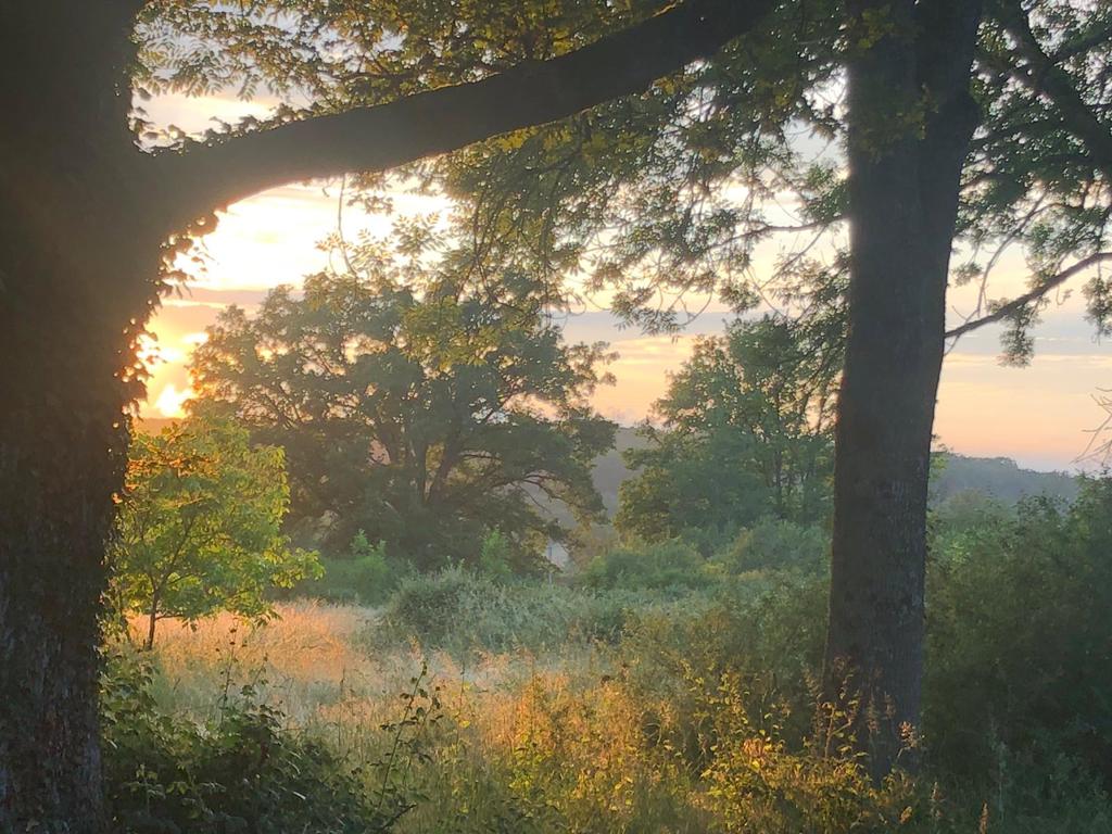 Maison nature à Saint Plaisir