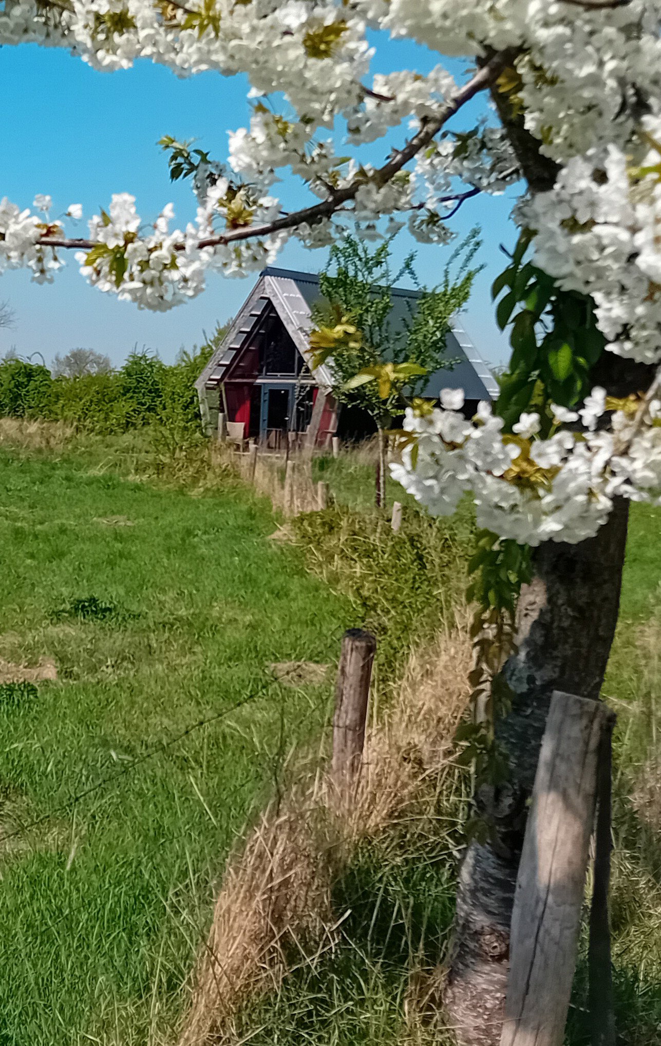 Naturhäuschen in Kwadendamme