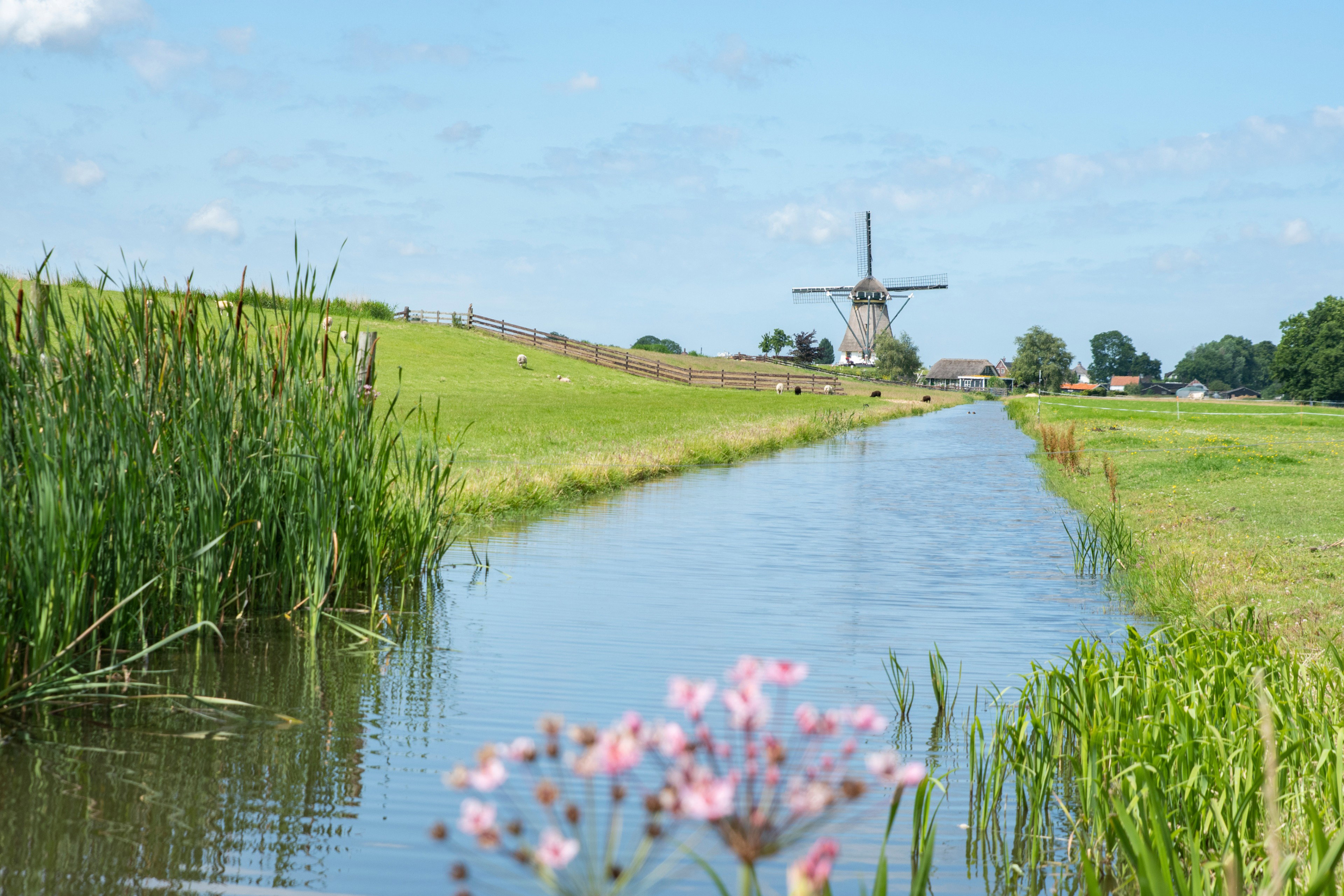 Naturhäuschen in Rijpwetering