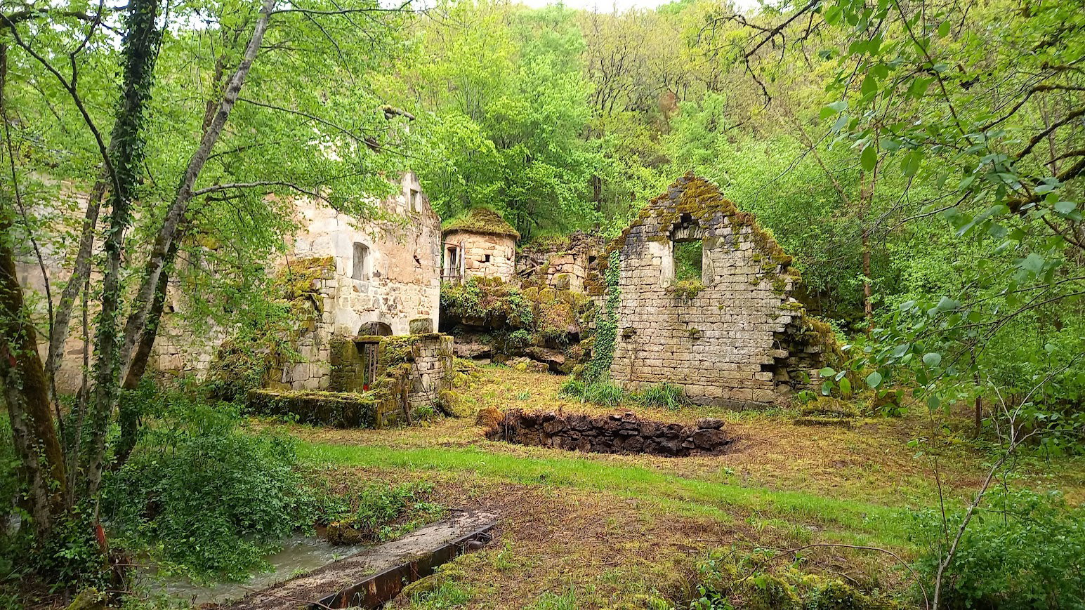 - image: 16