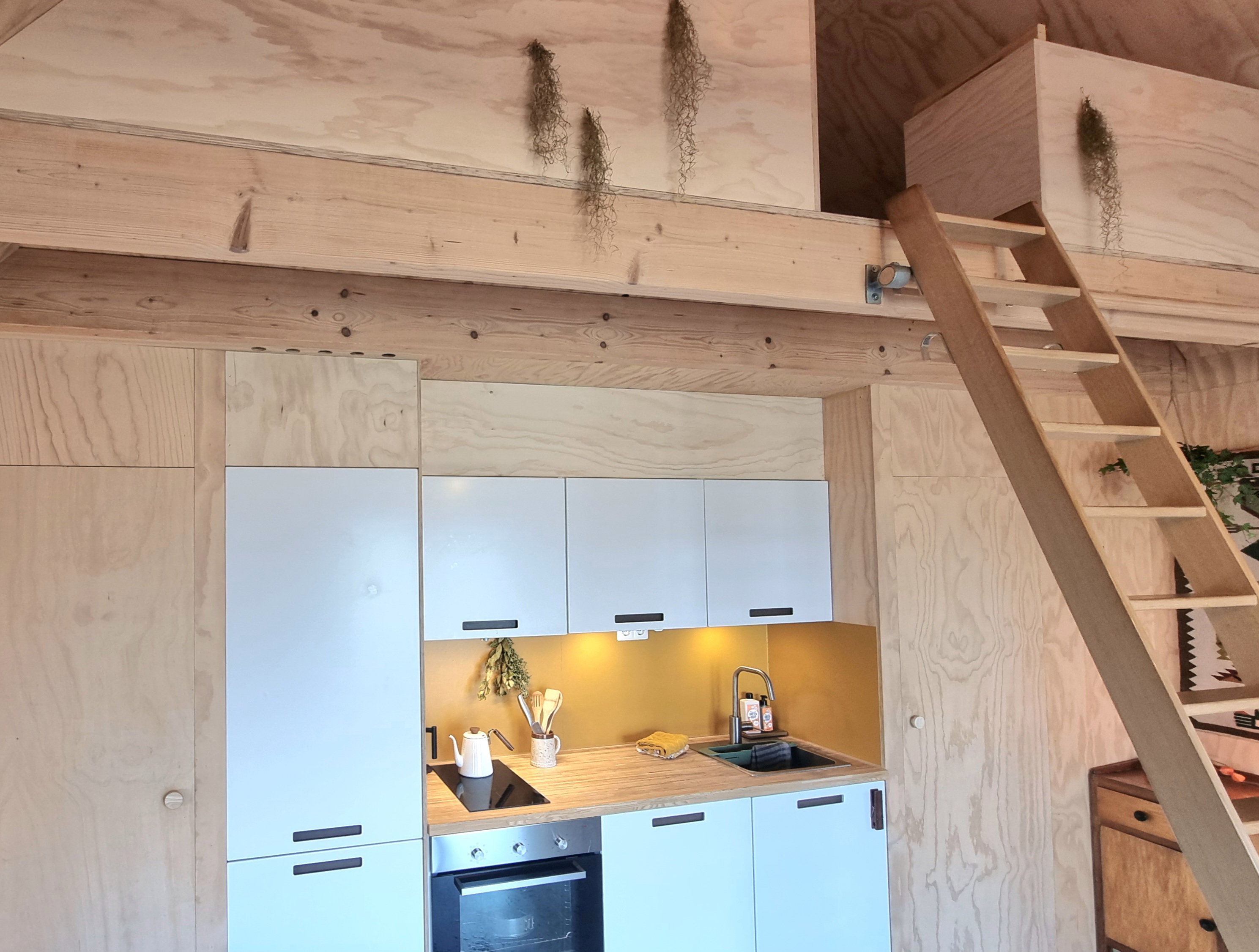Casa nella natura a Vries