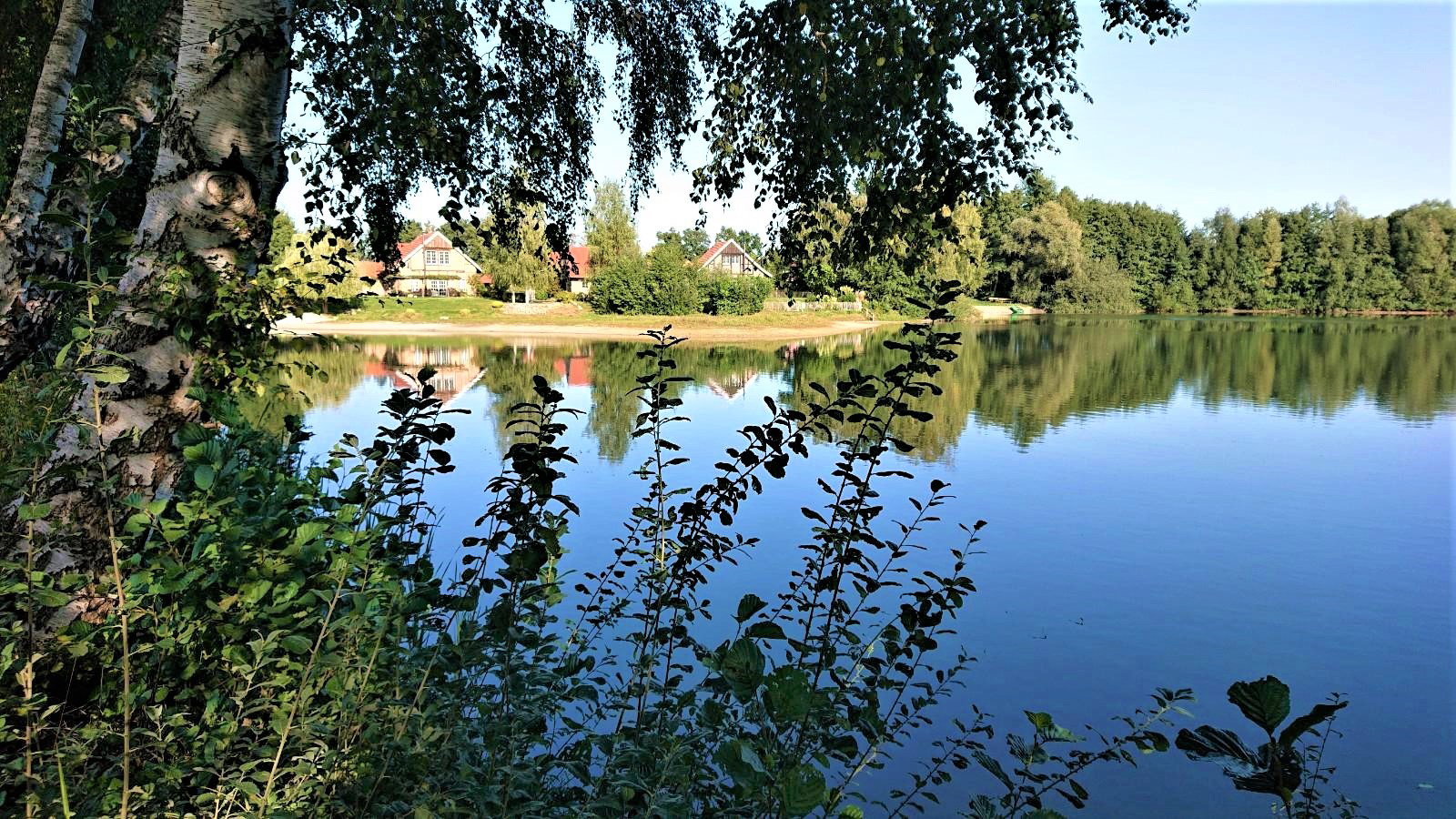 - image: 25
