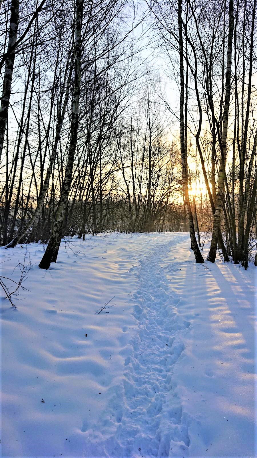 - image: 29