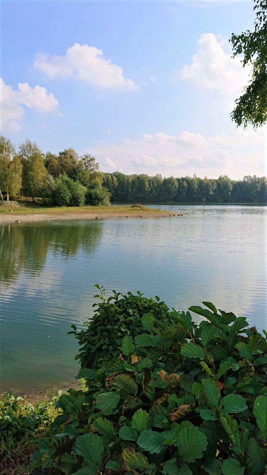 - image: 21