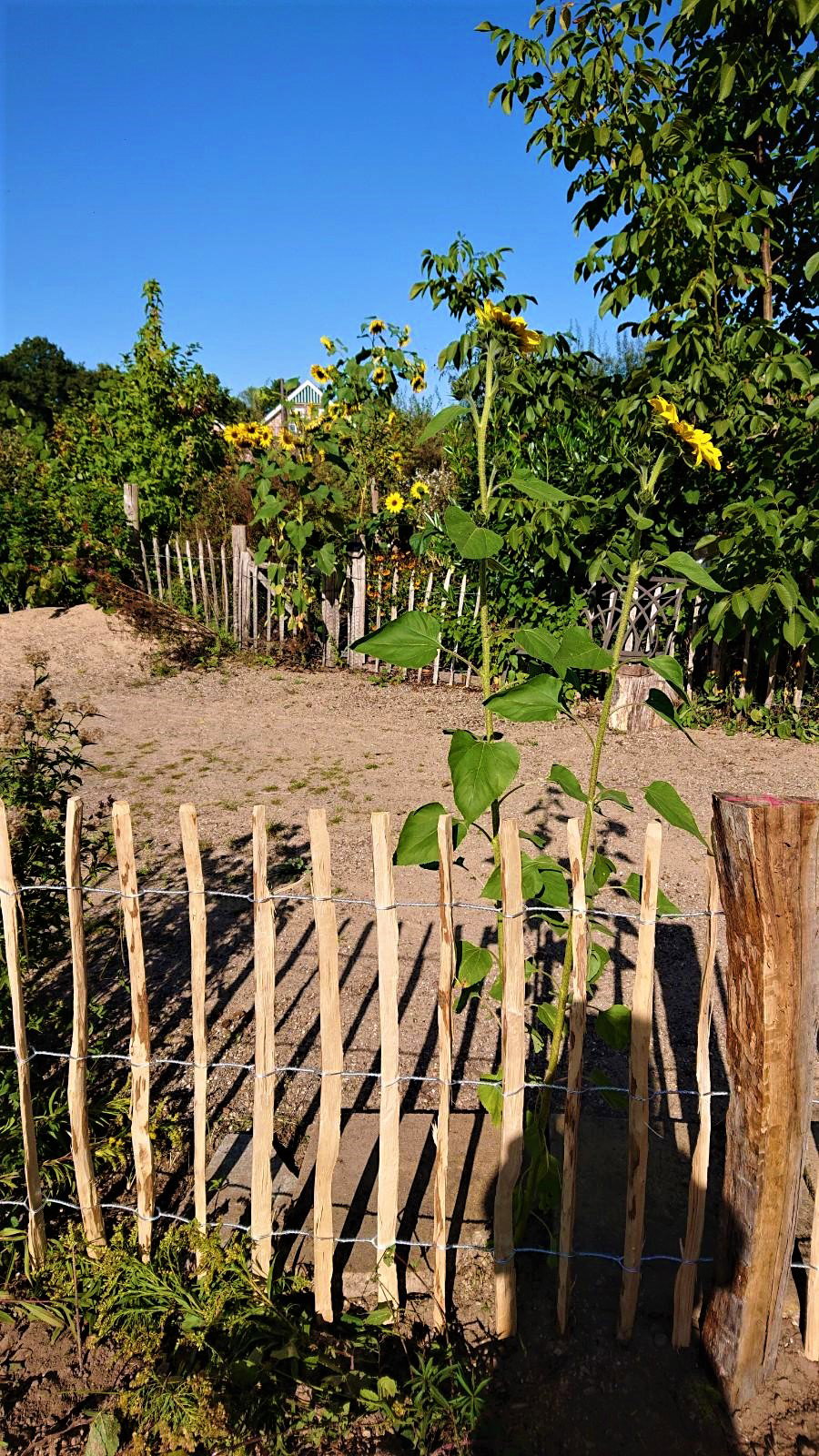 Naturhäuschen in Warendorf Milte