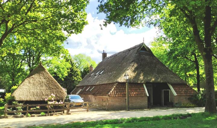 Natuurhuisje in Orvelte