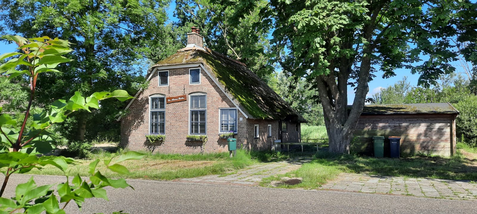- image: 1