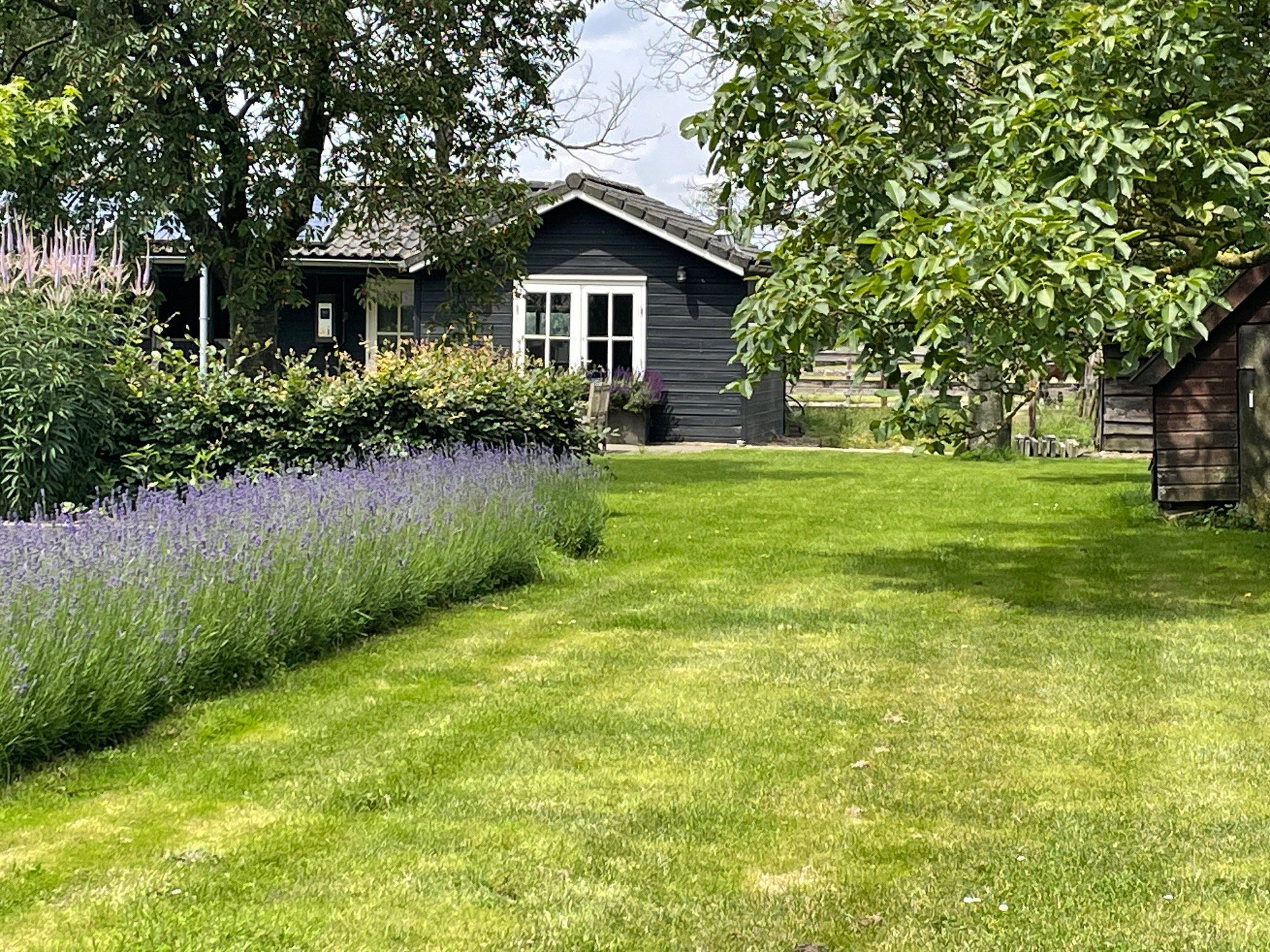 Naturhäuschen in Ophemert