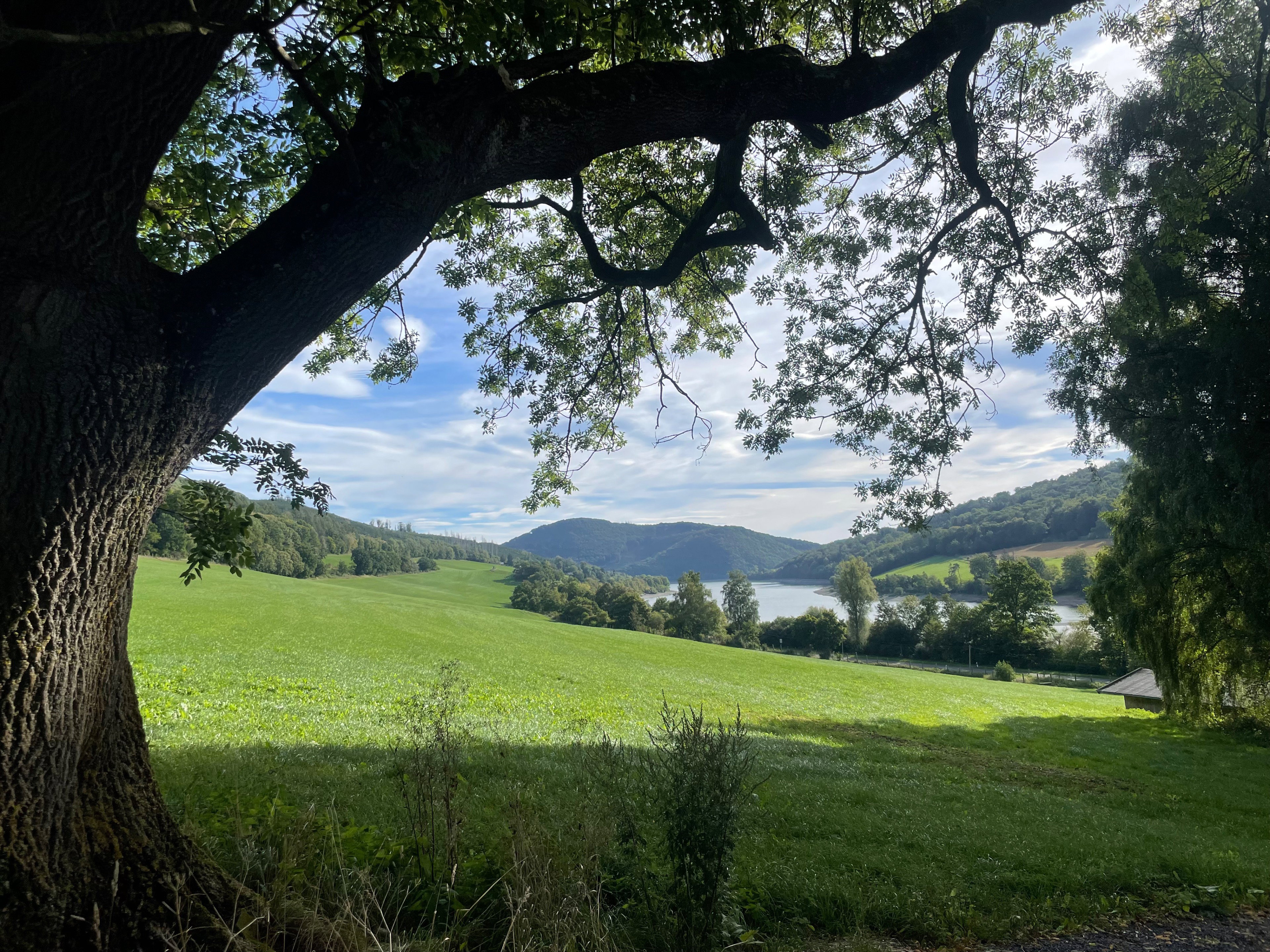 Maison nature à Diemelsee