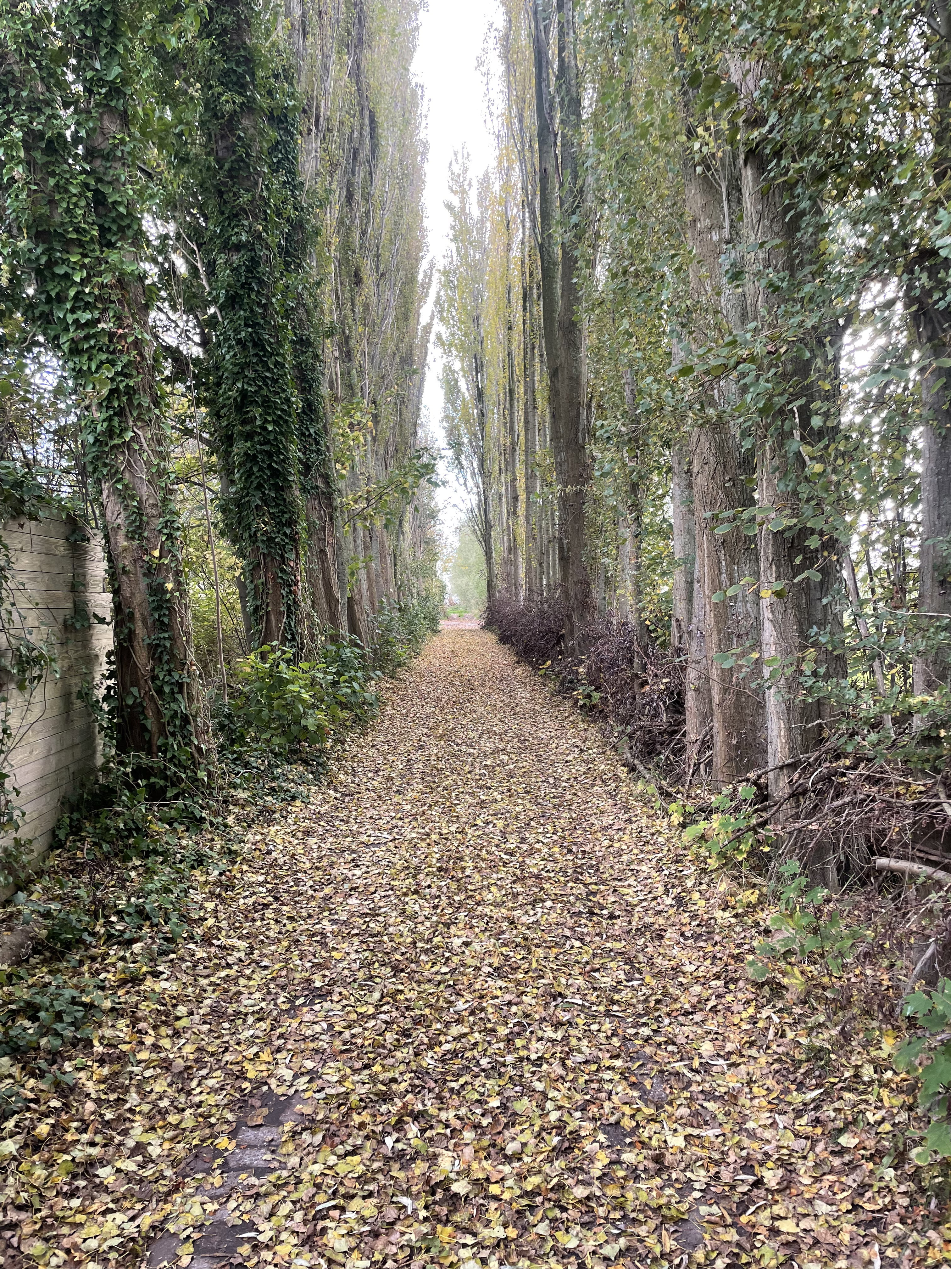 Naturhäuschen in Venhuizen