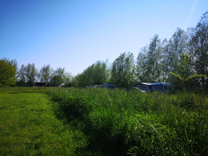 - image: 13
