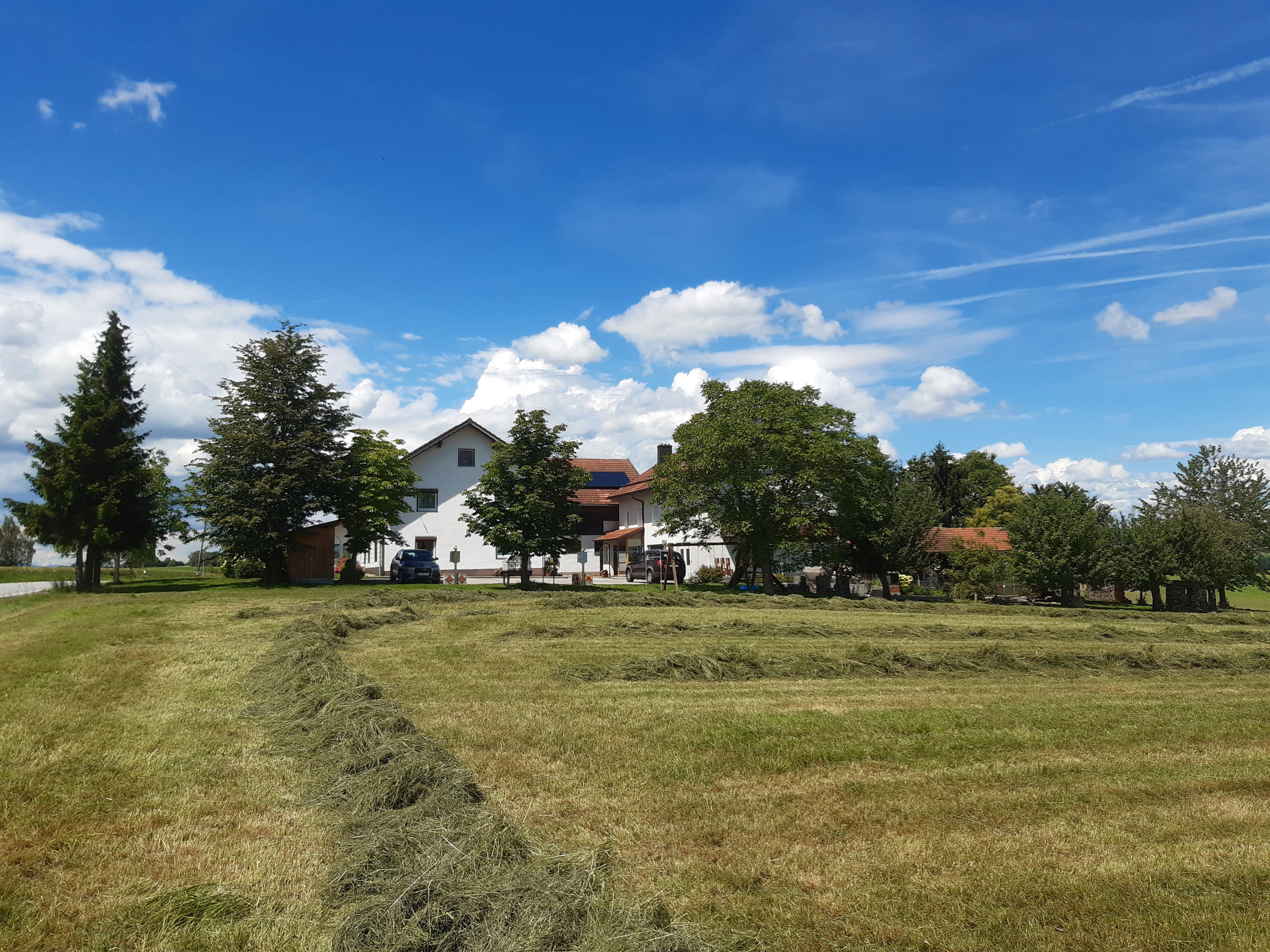 Naturhäuschen in Büchlberg
