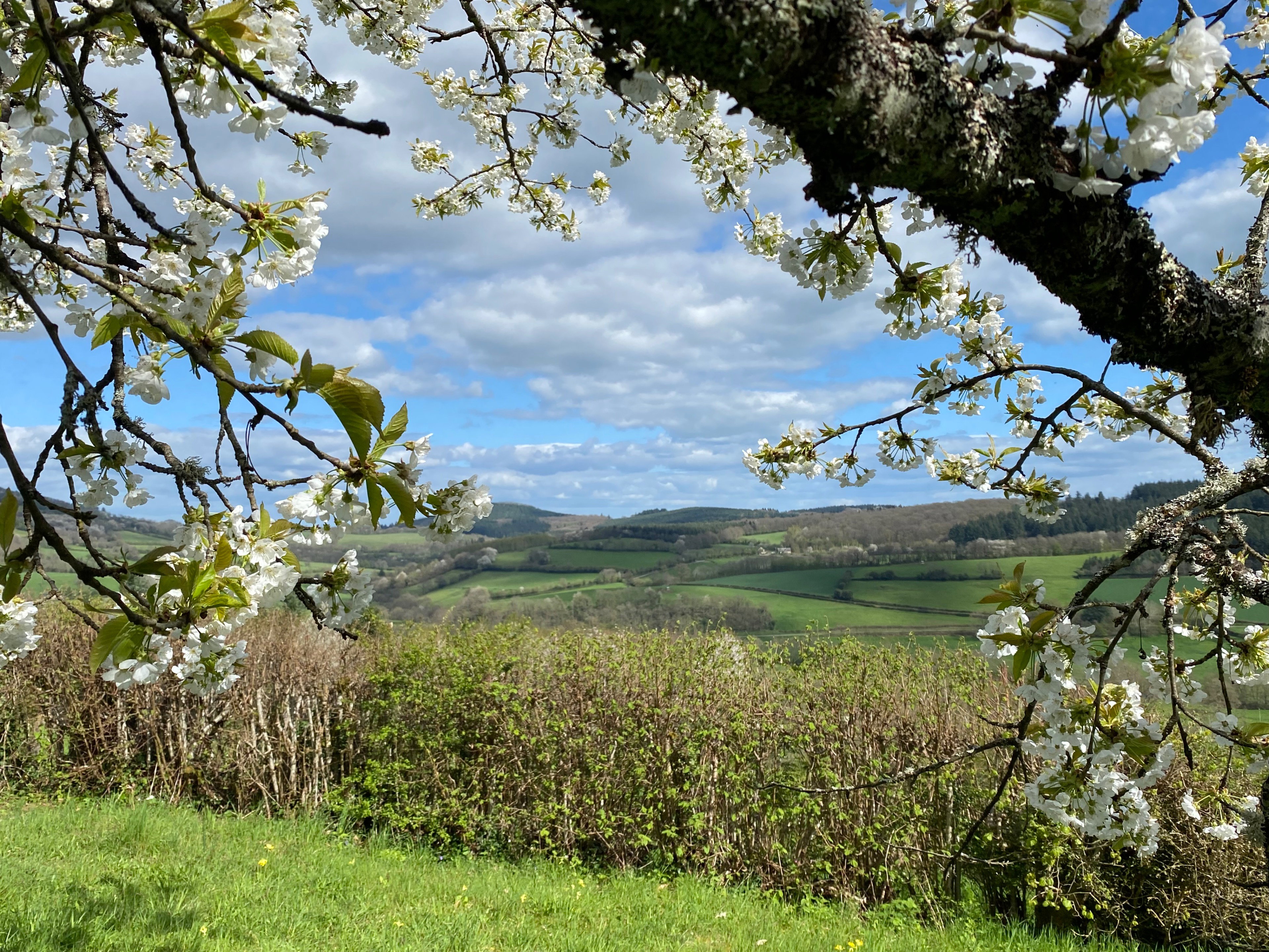 Maison nature à Larochemillay