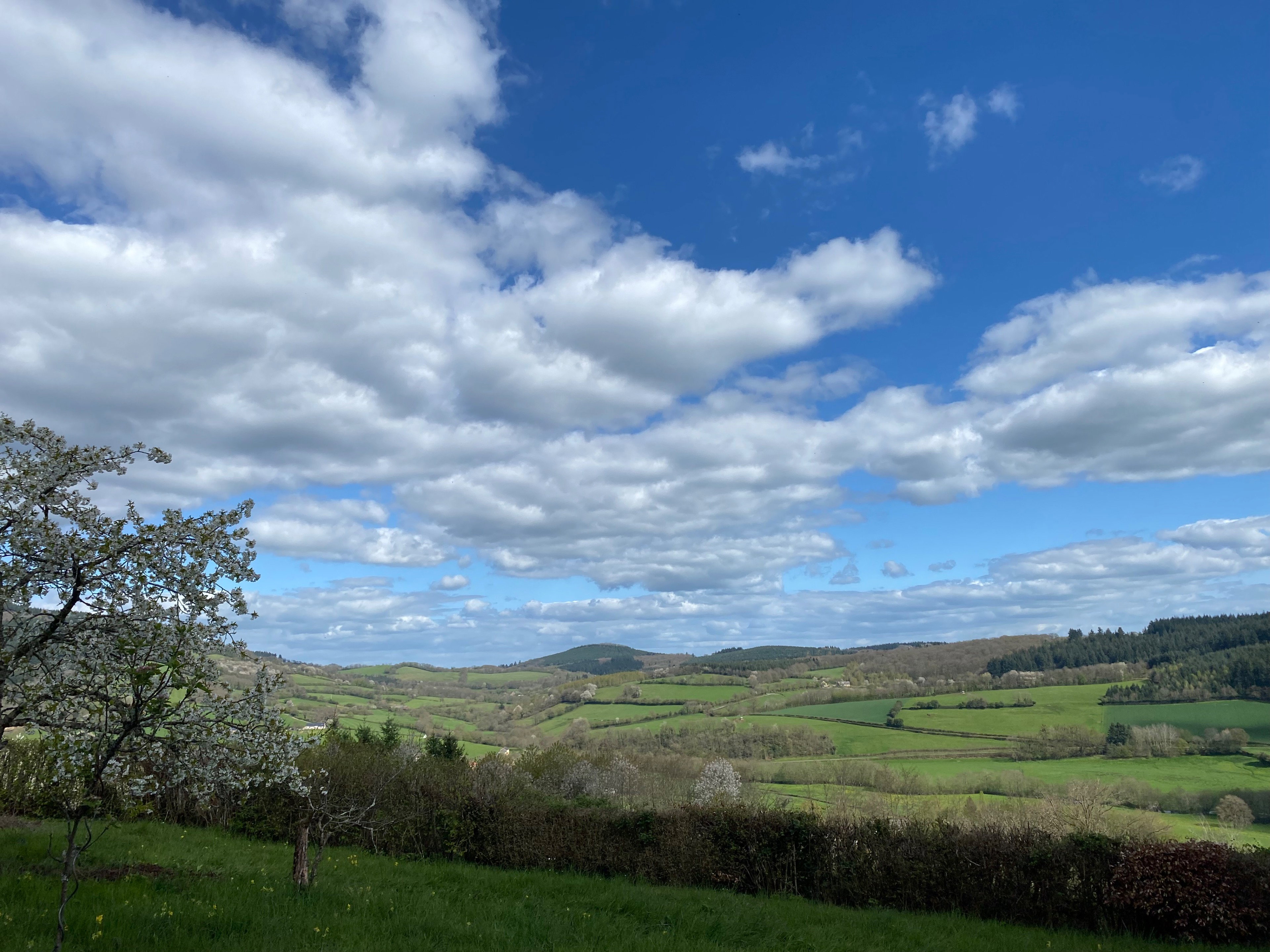 Maison nature à Larochemillay