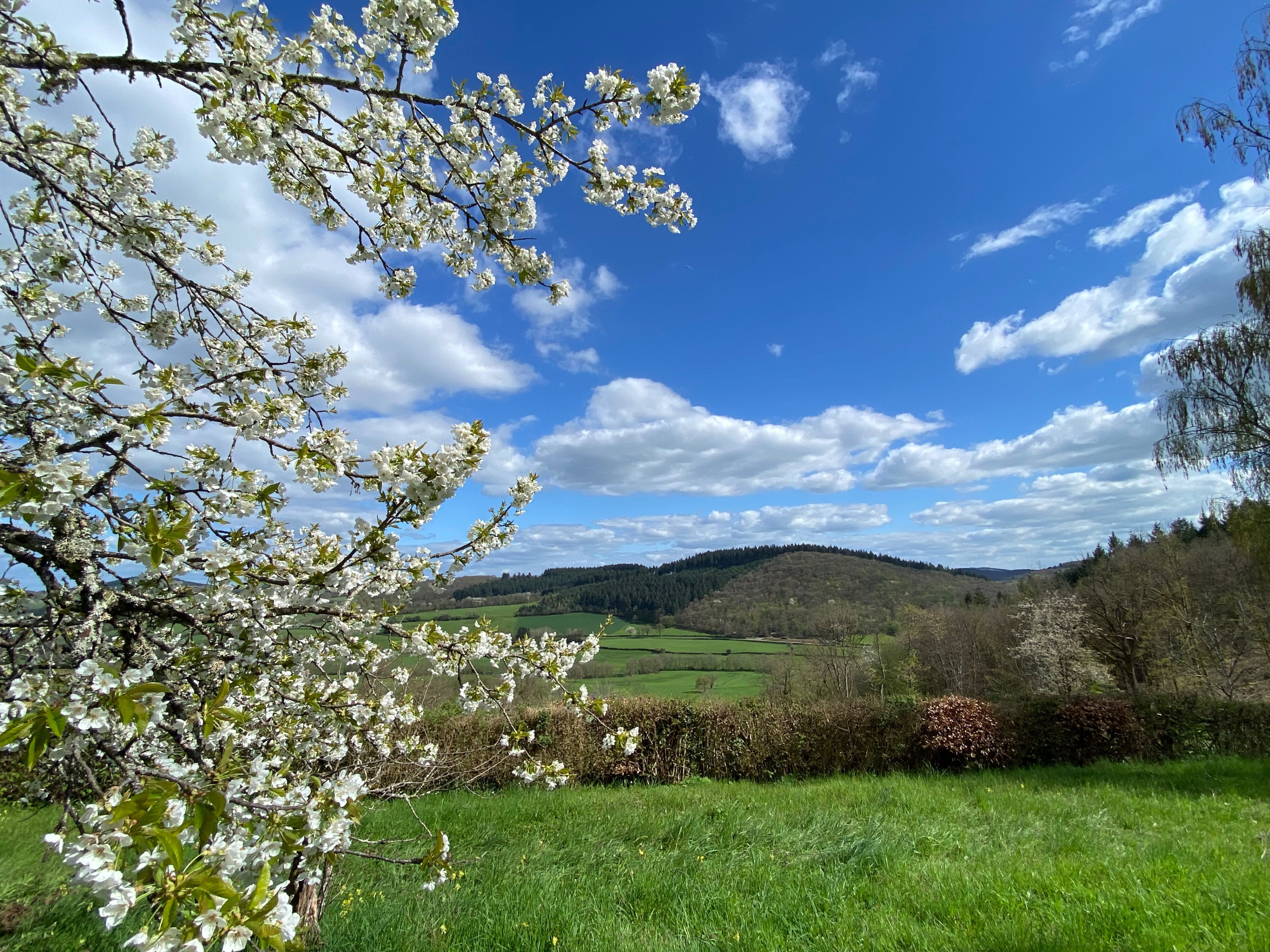 Maison nature à Larochemillay