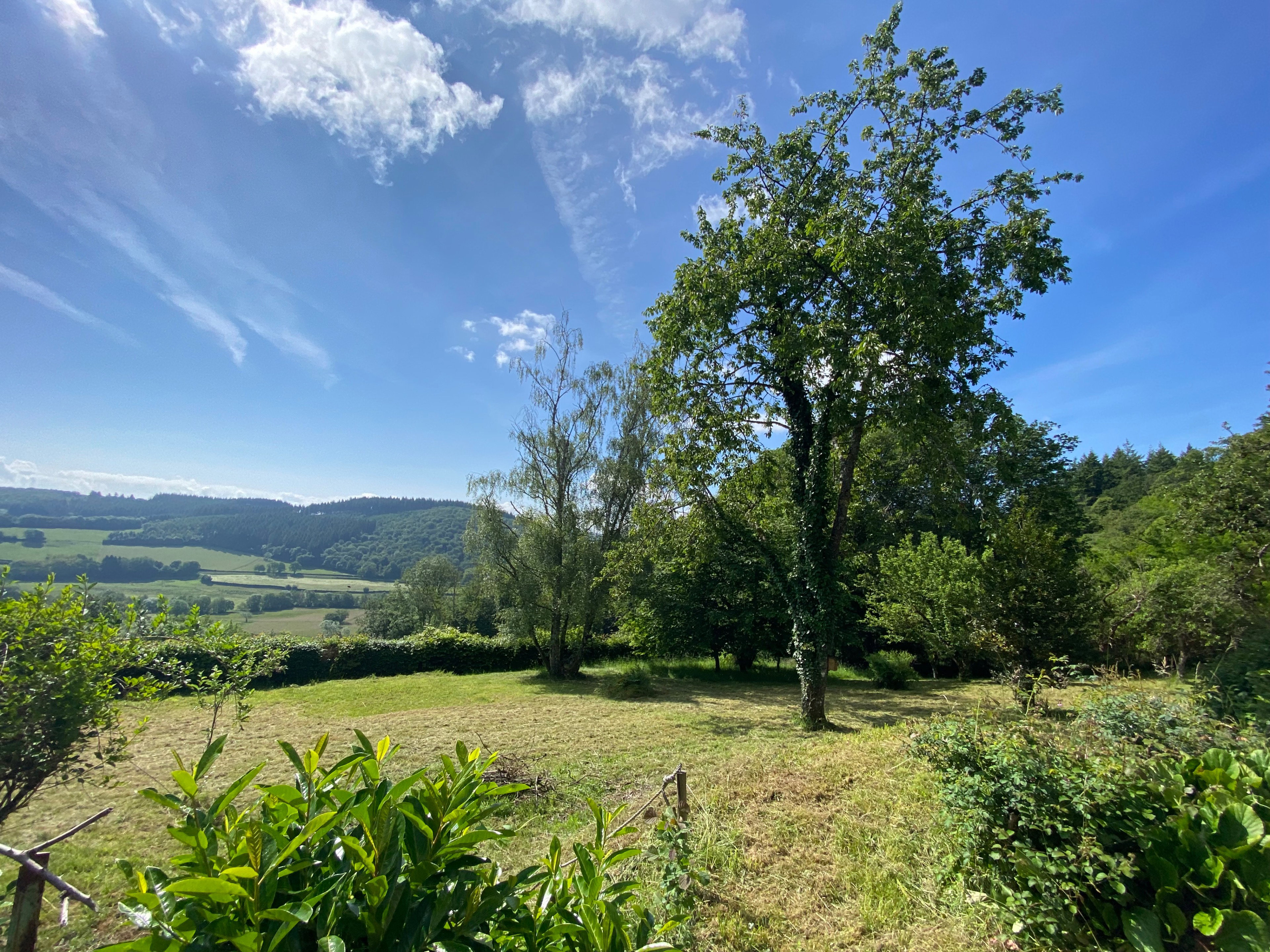 Maison nature à Larochemillay