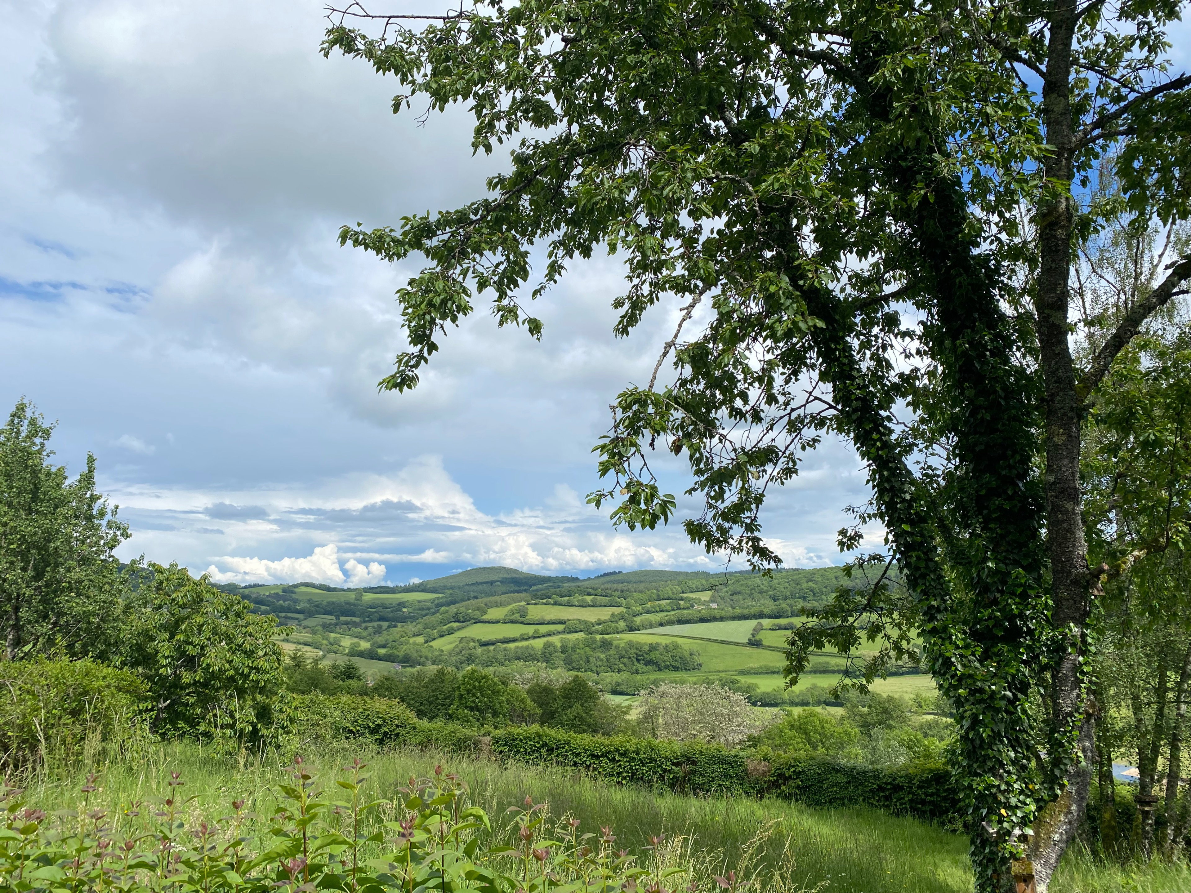 Maison nature à Larochemillay