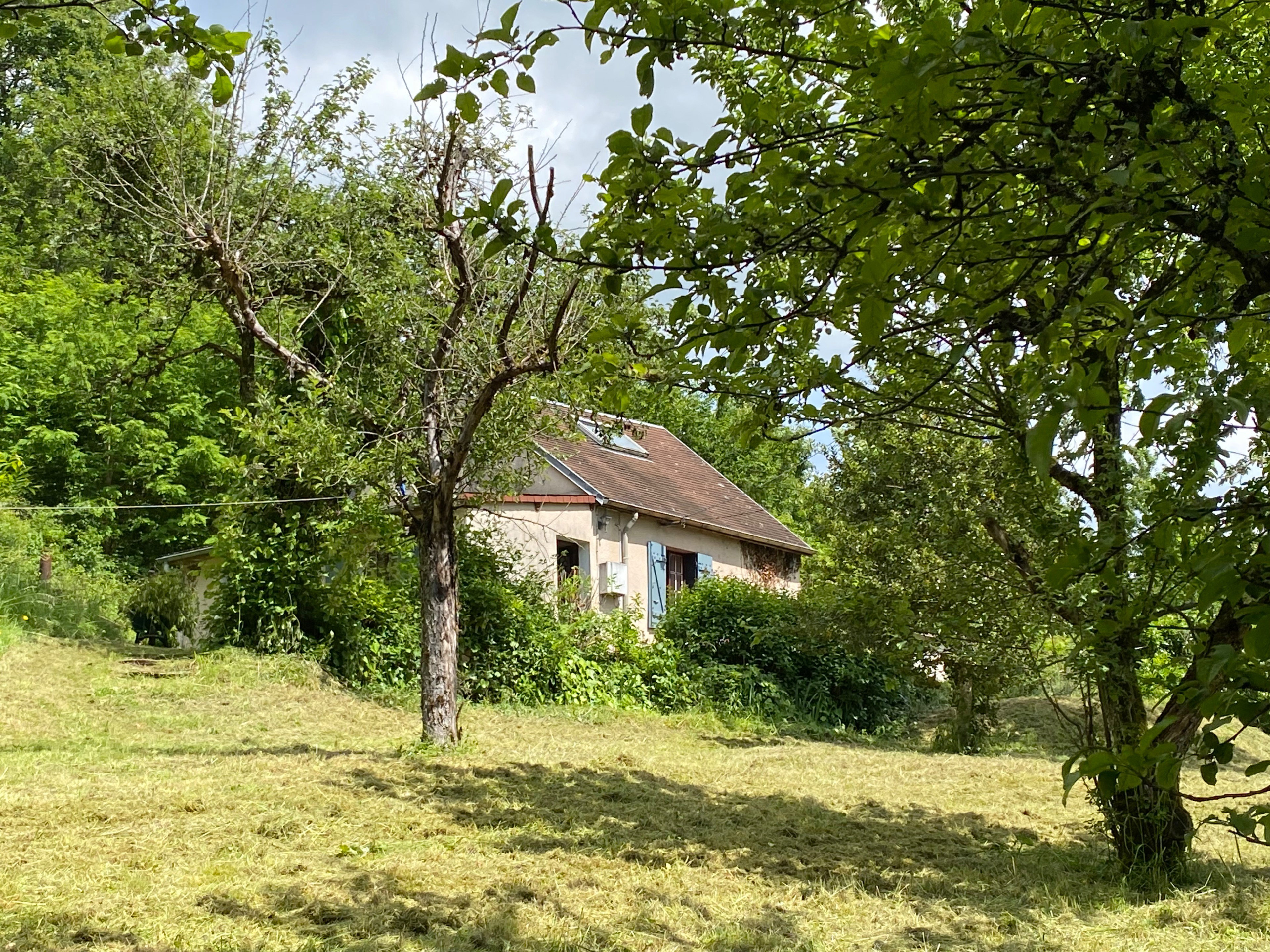- image: 25