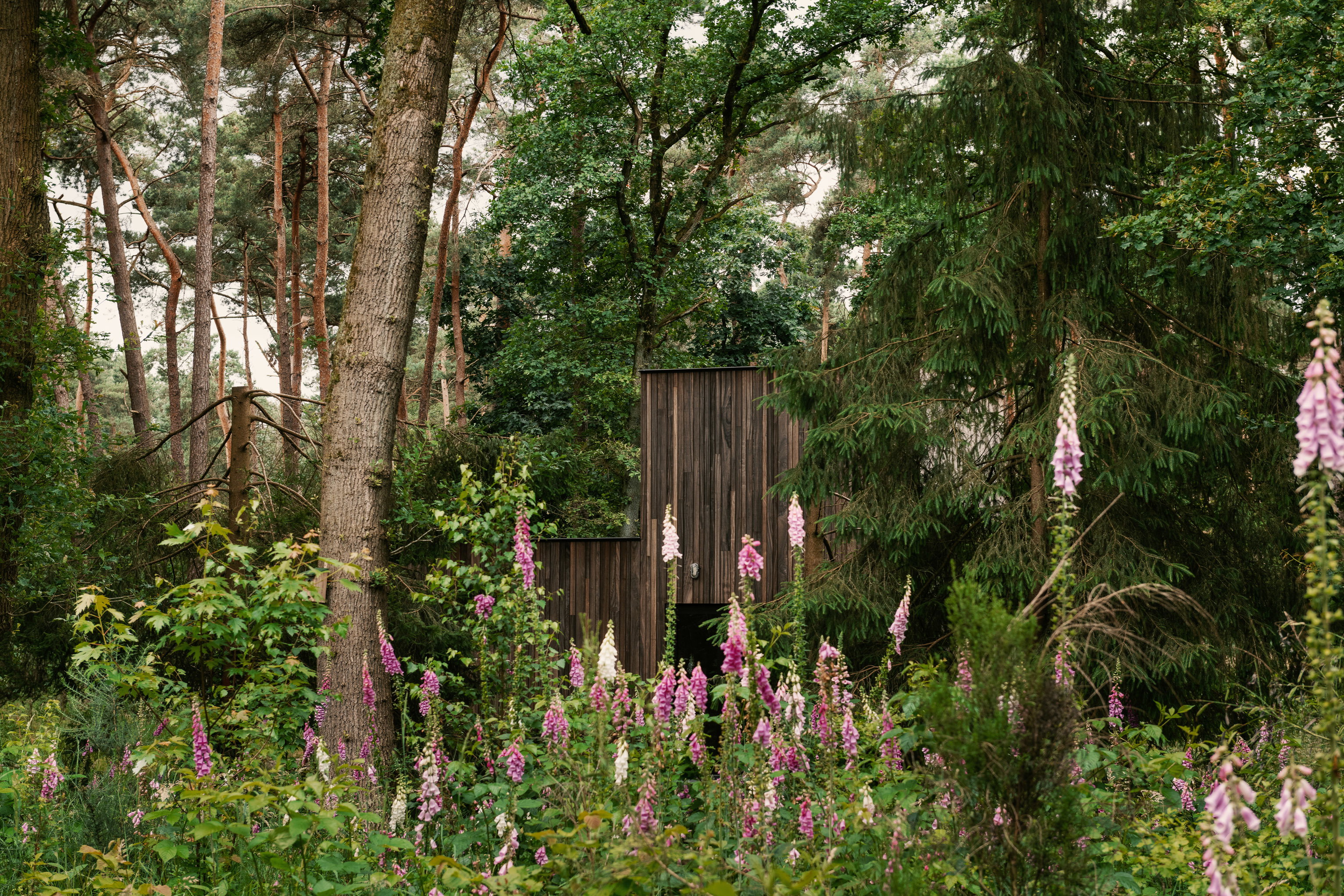 Casa nella natura a Lille