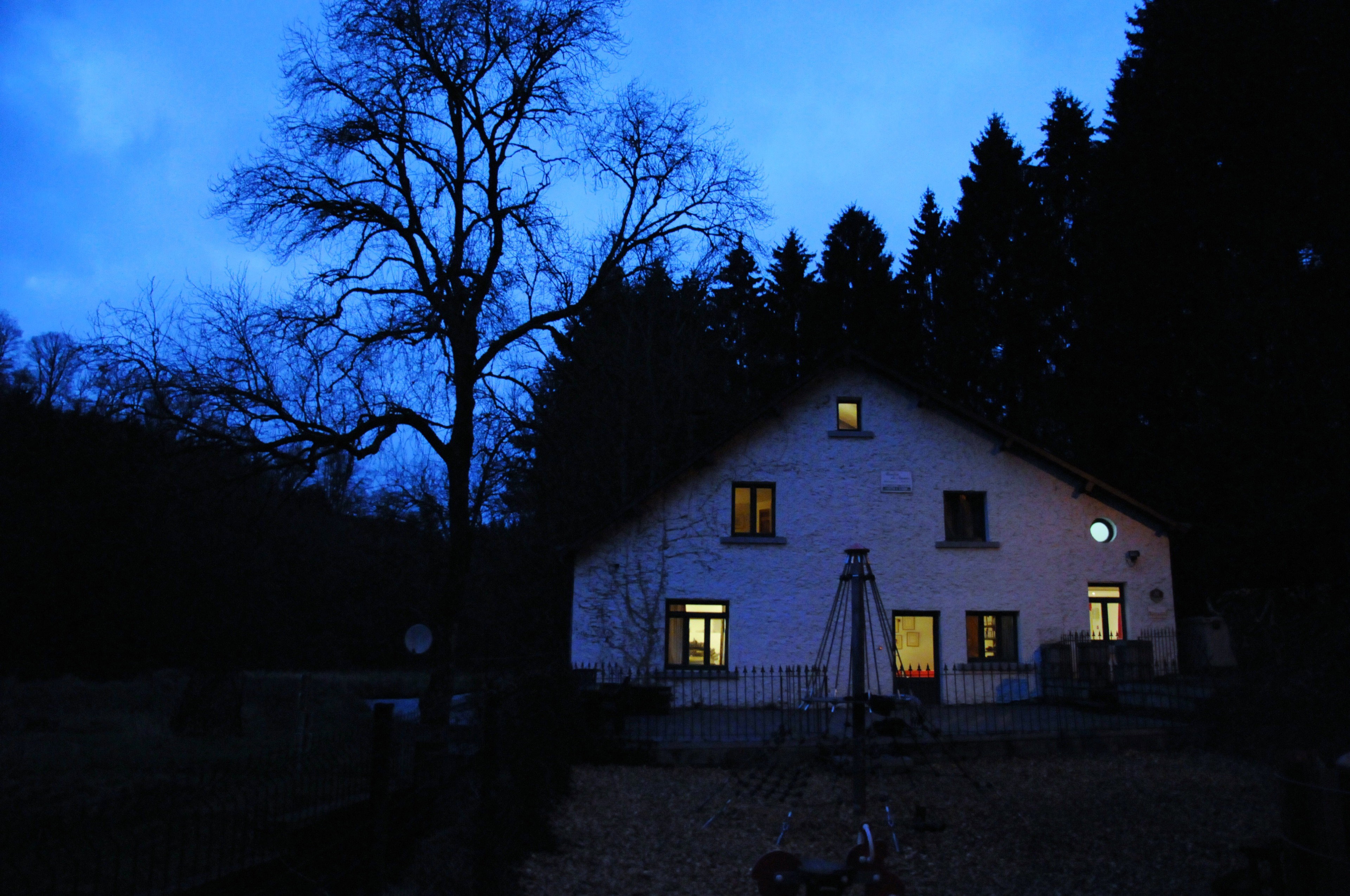 - image: 12