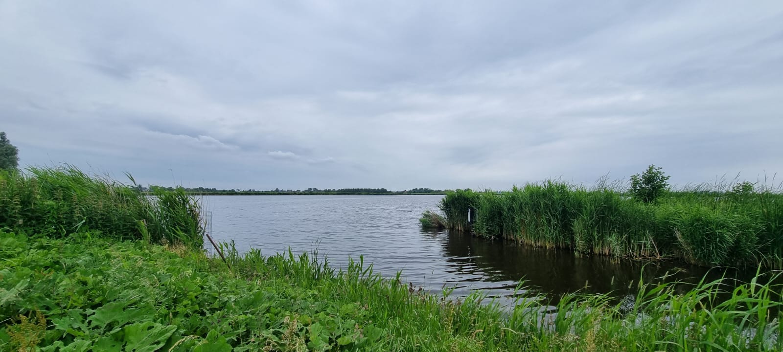 - image: 15