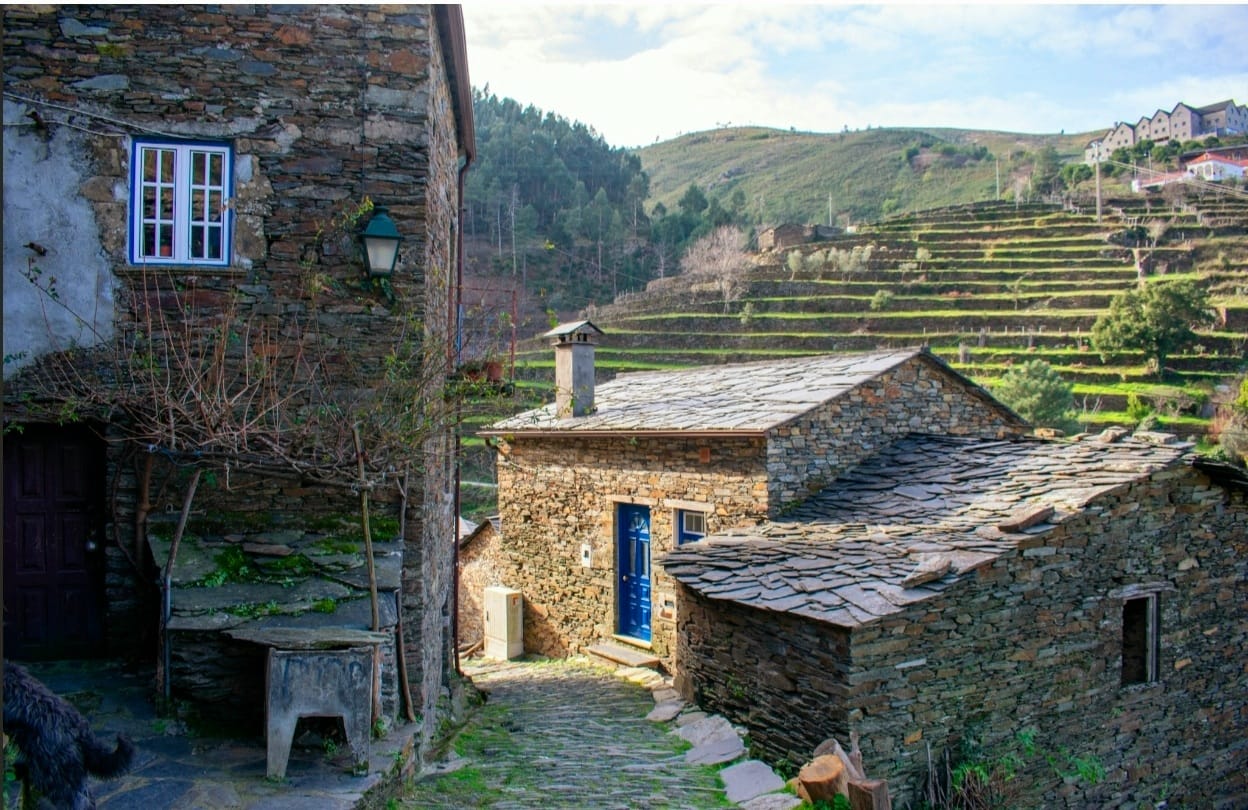 - image: 43