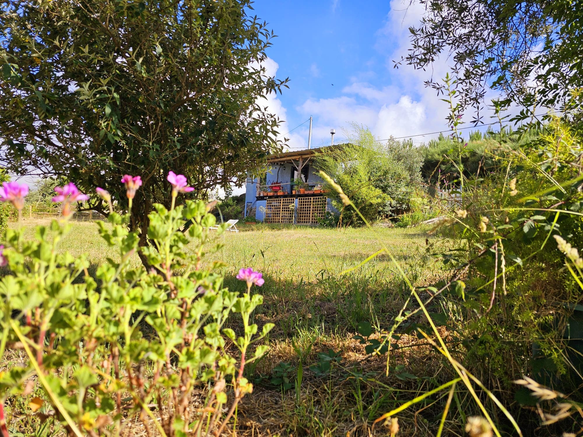 Natuurhuisje in Oliveira do Hospital