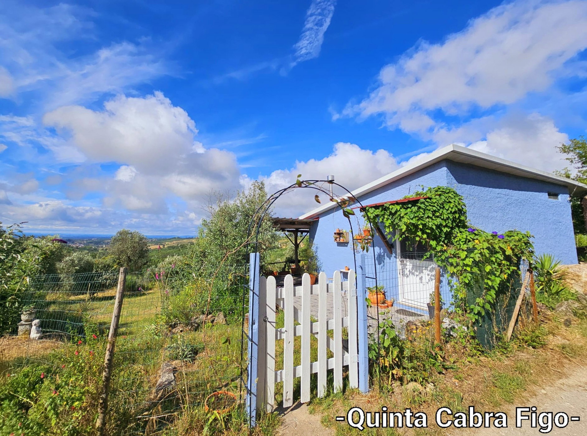 Natuurhuisje in Oliveira do Hospital