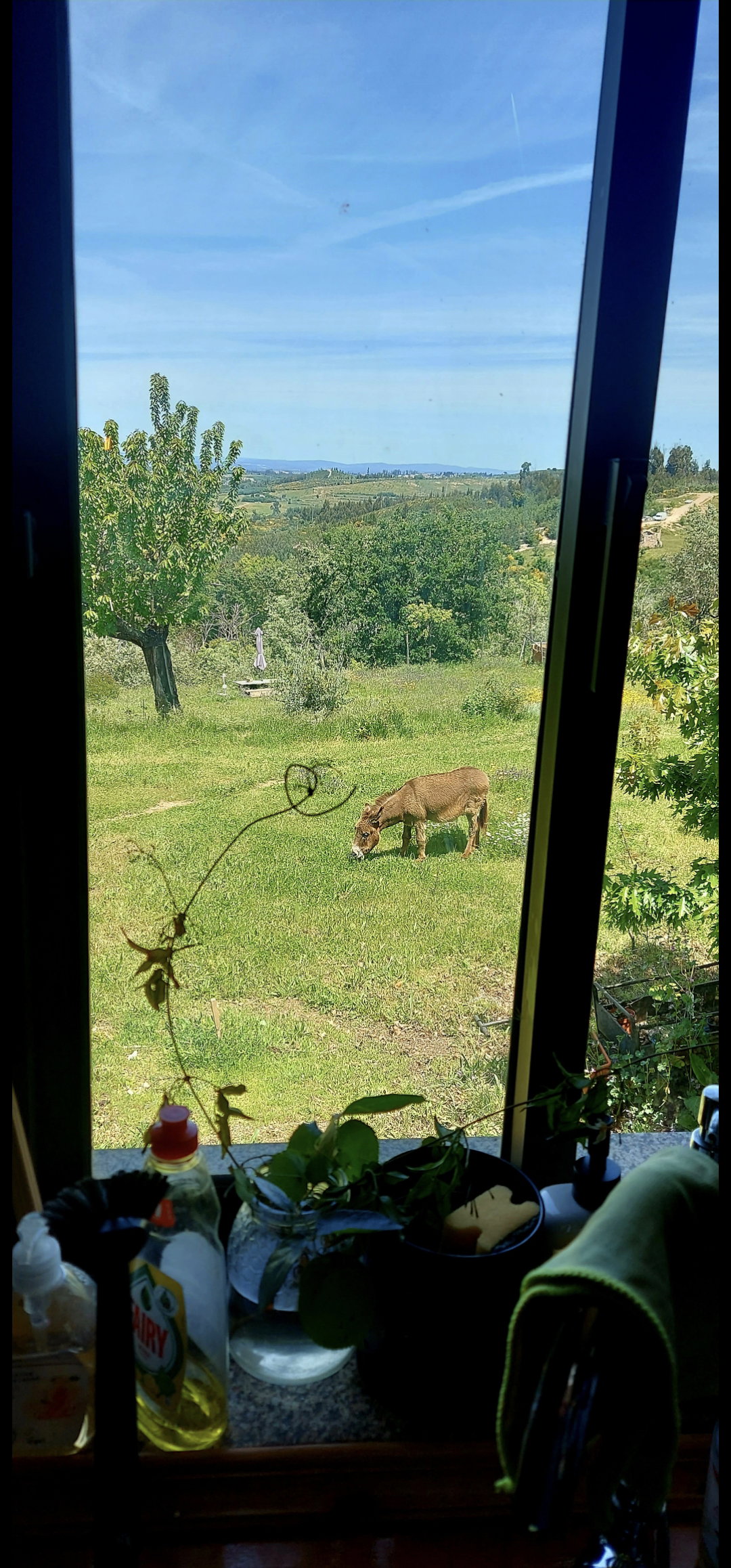 Natuurhuisje in Oliveira do Hospital