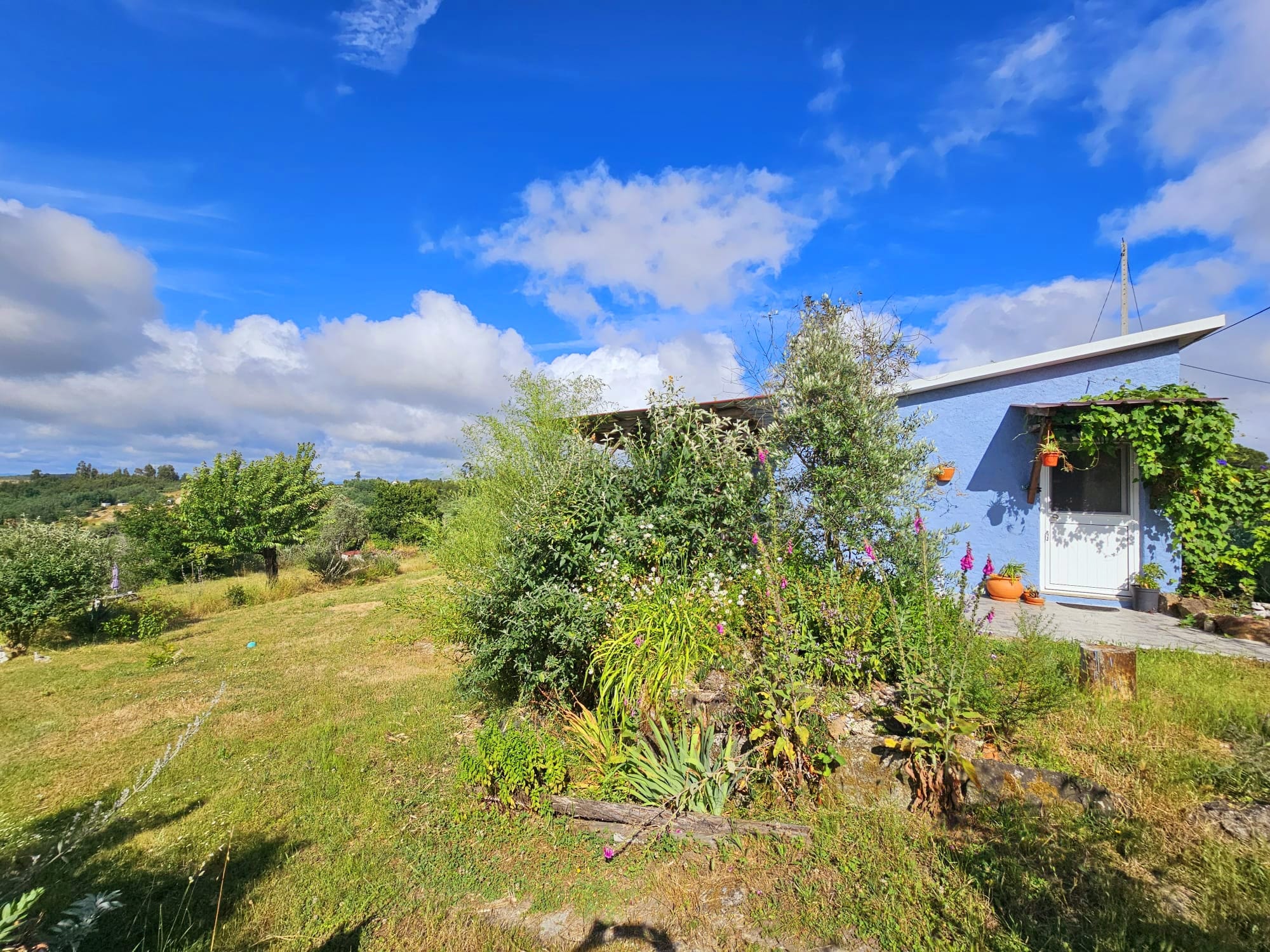 Natuurhuisje in Oliveira do Hospital