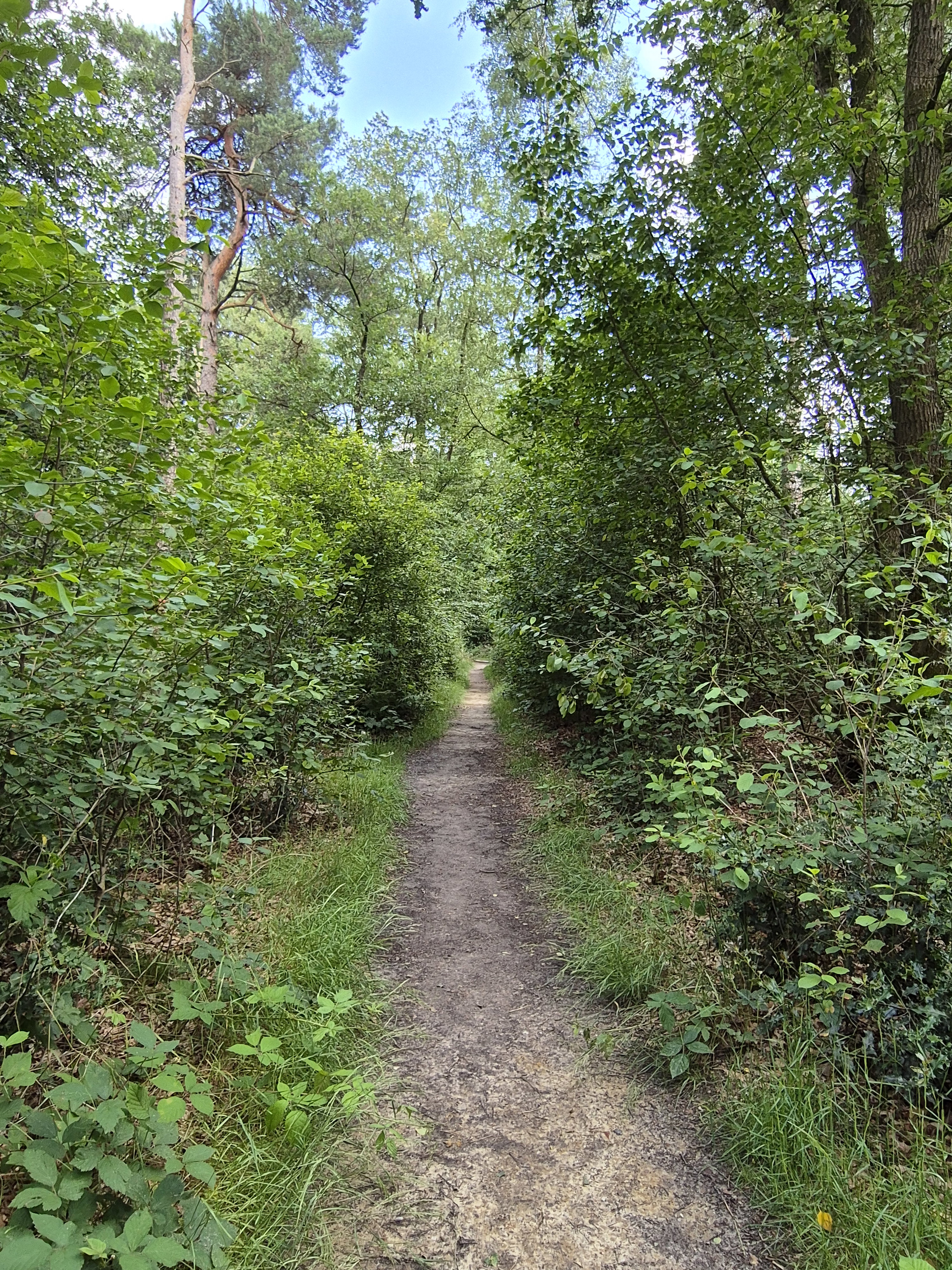 - image: 26