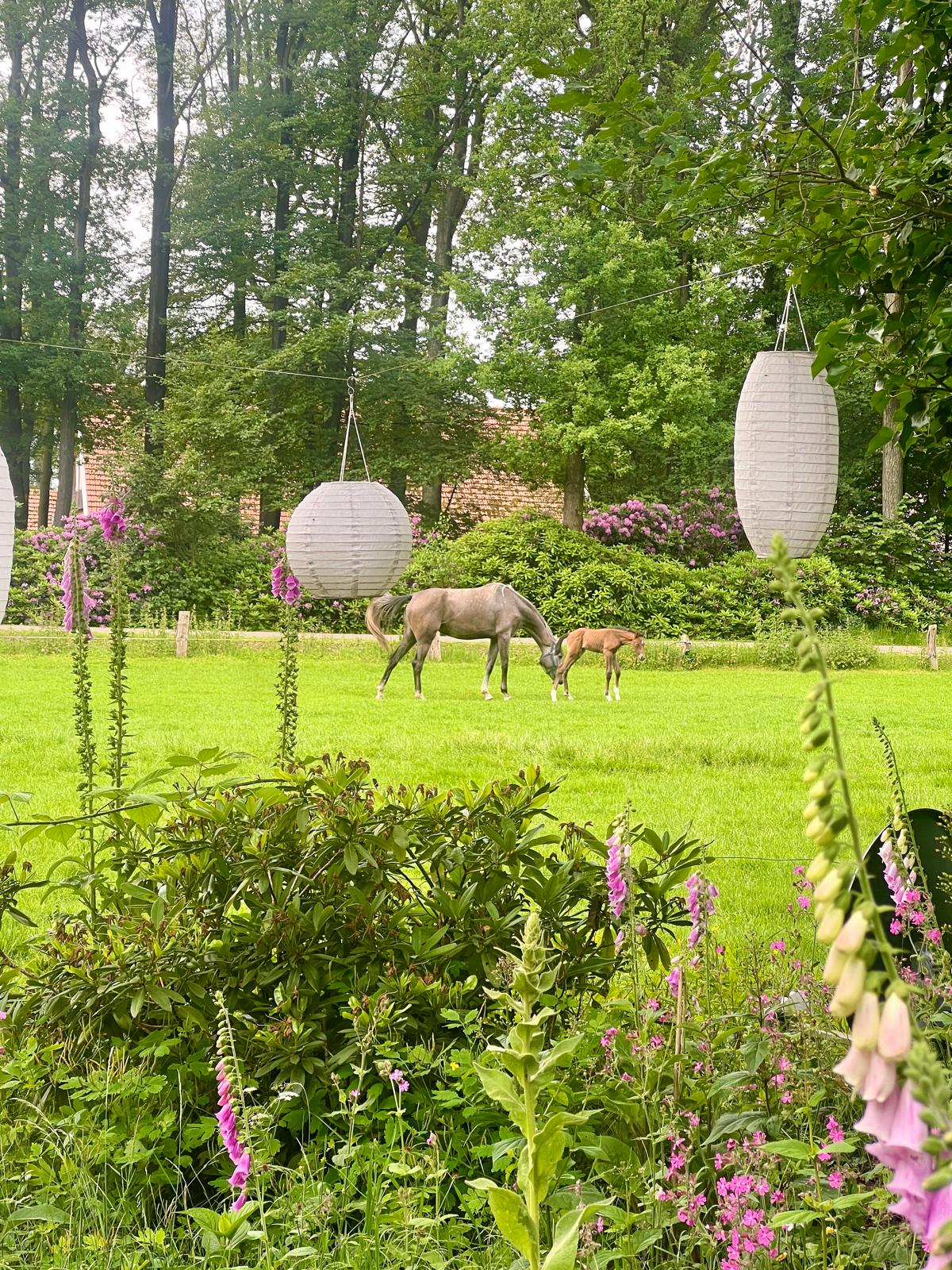 Natuurhuisje in Nutter
