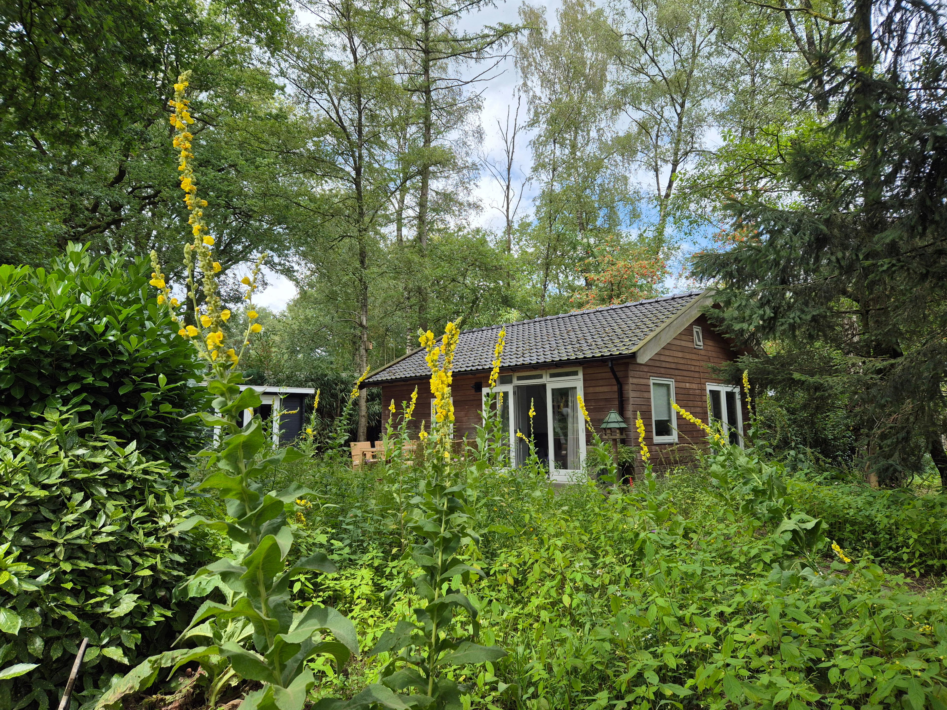 Nature house in Nutter