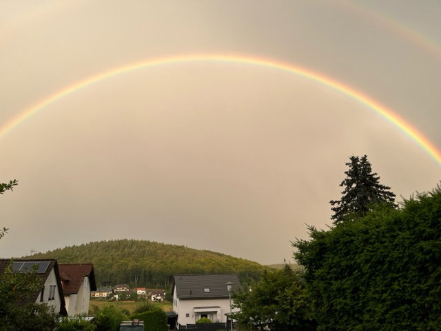 - image: 12