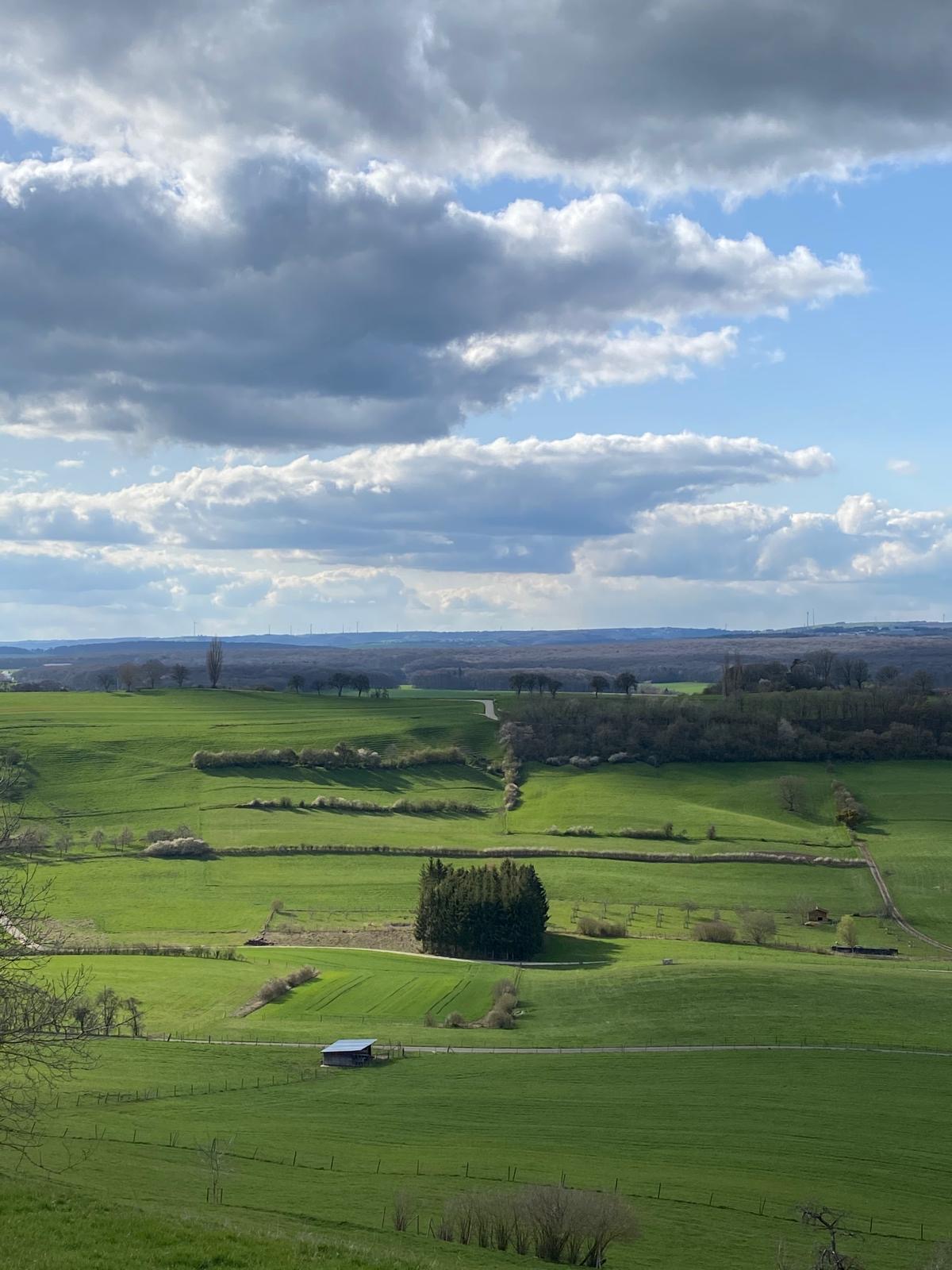 Naturhäuschen in Eppeldorf