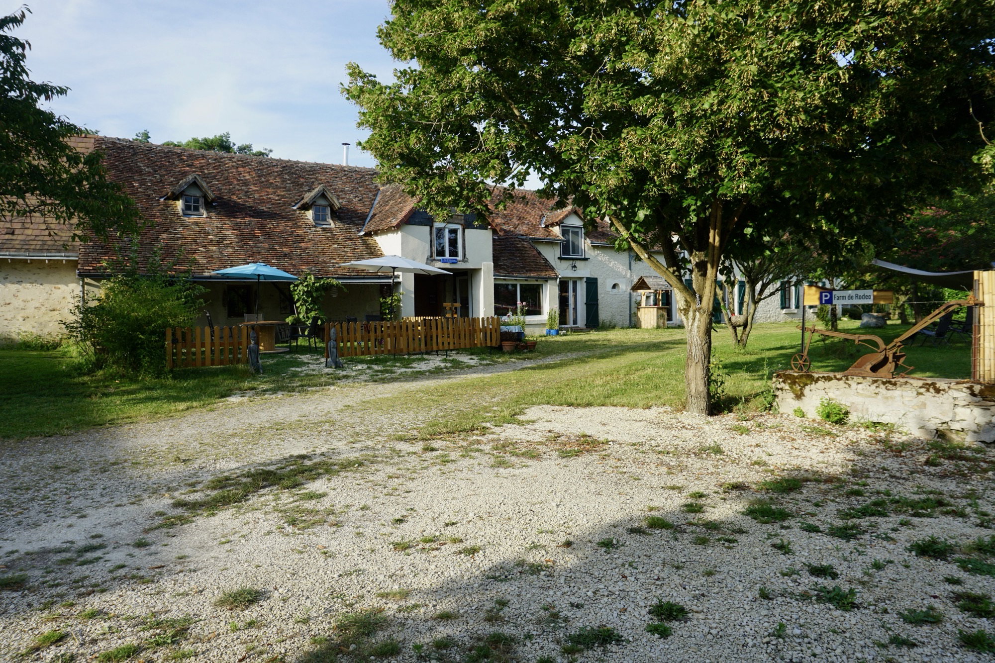 - image: 65