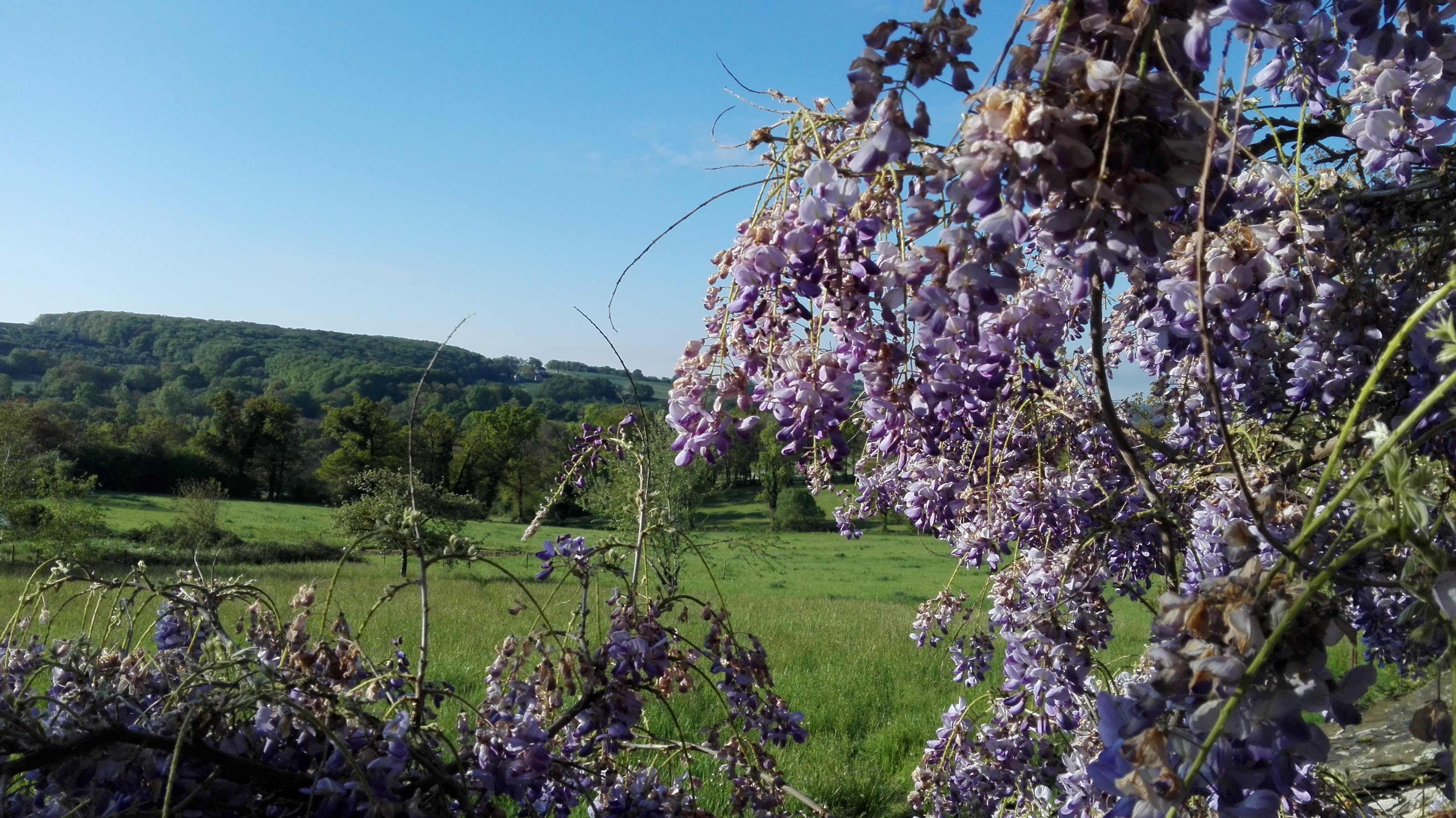 Natuurhuisje in Le Bas Segala