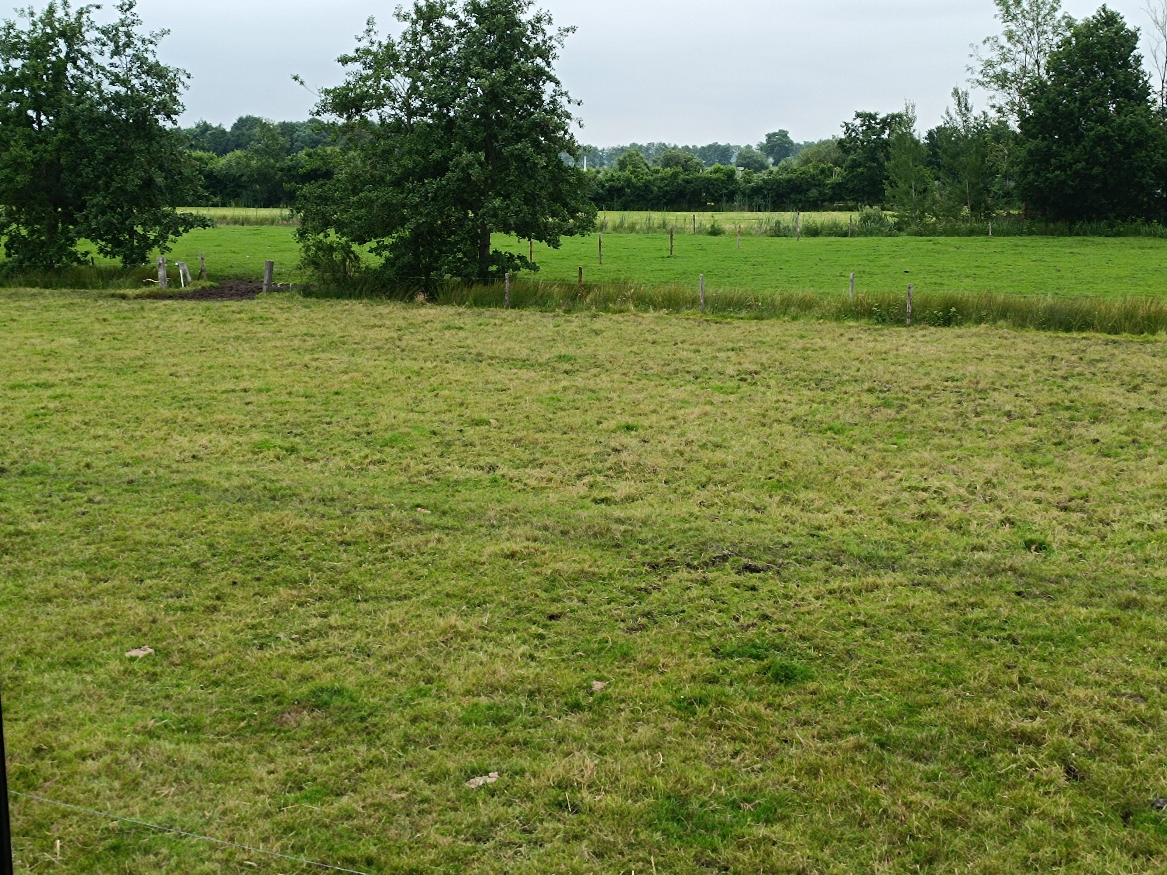 Natuurhuisje in Ruinerwold
