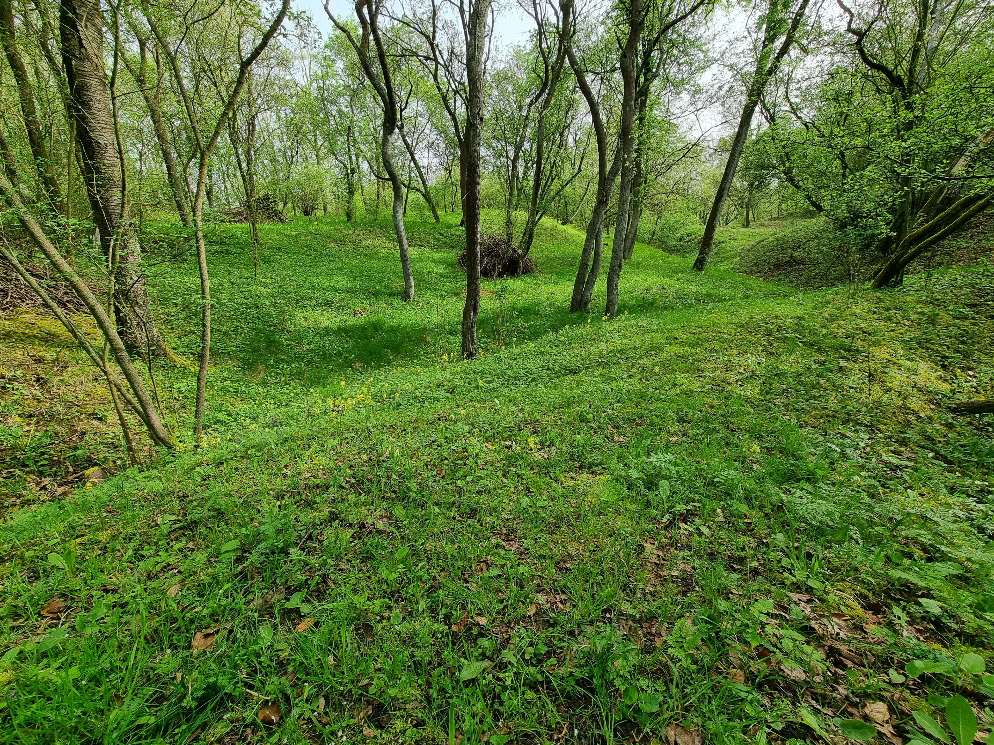 Maison nature à Zaton Dolna