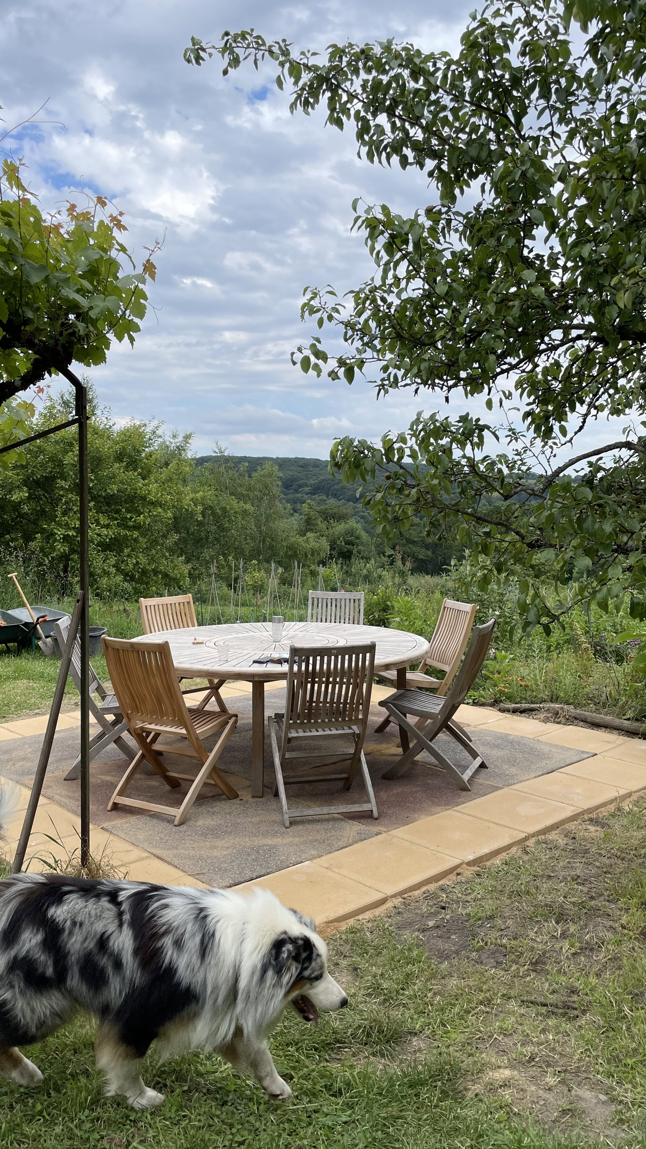 Maison nature à le bas segala